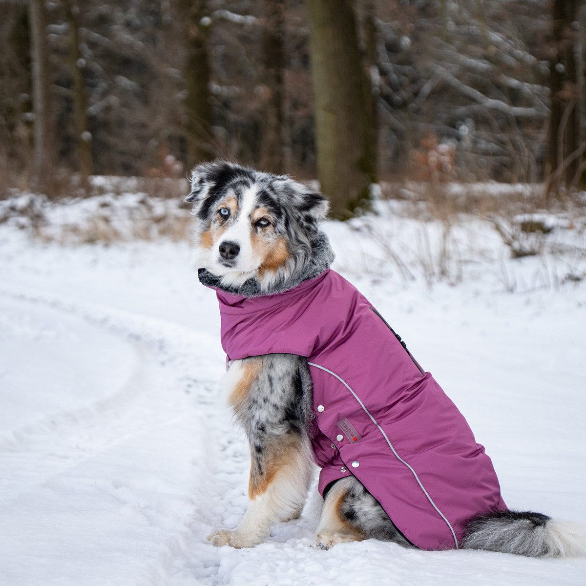 Wolters Hundemantel Winterjacke Amundsen himbeer