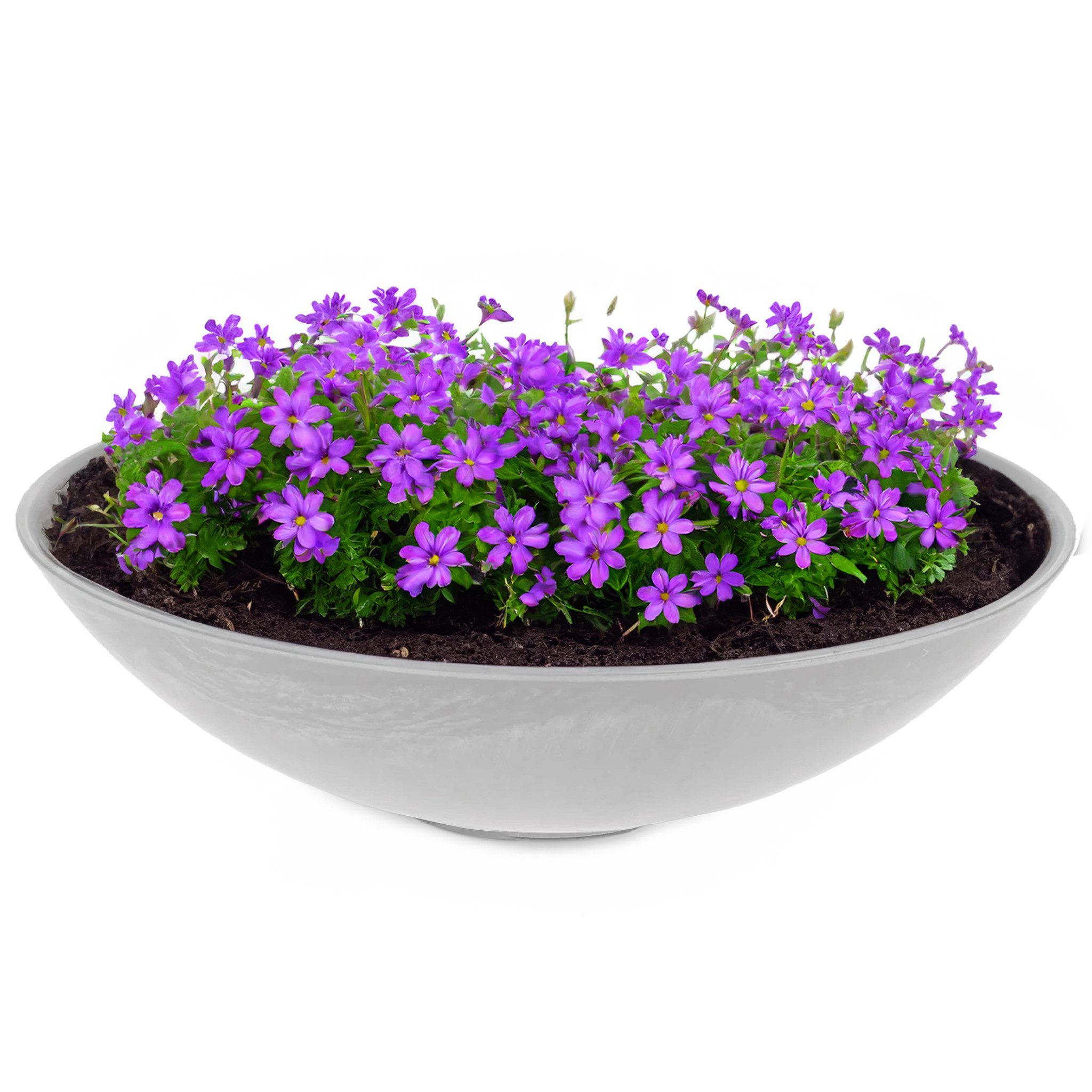 Blumentopf Flache Pflanzschale für draussen Dekoschale rund hellgrau 45 cm