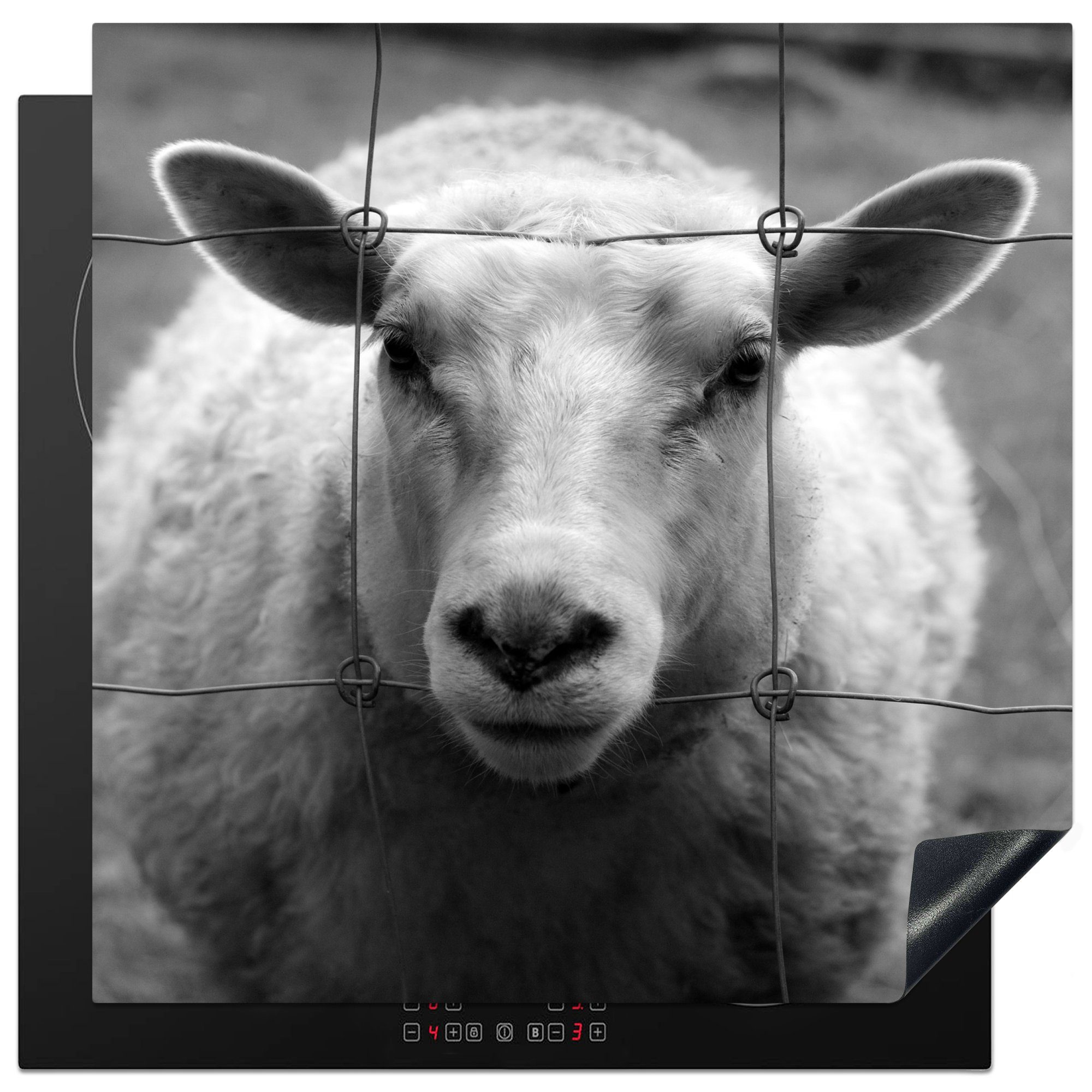 MuchoWow Herdblende-/Abdeckplatte Schafe - Zaun - Schwarz - Weiß, Vinyl, (1 tlg), 78x78 cm, Ceranfeldabdeckung, Arbeitsplatte für küche