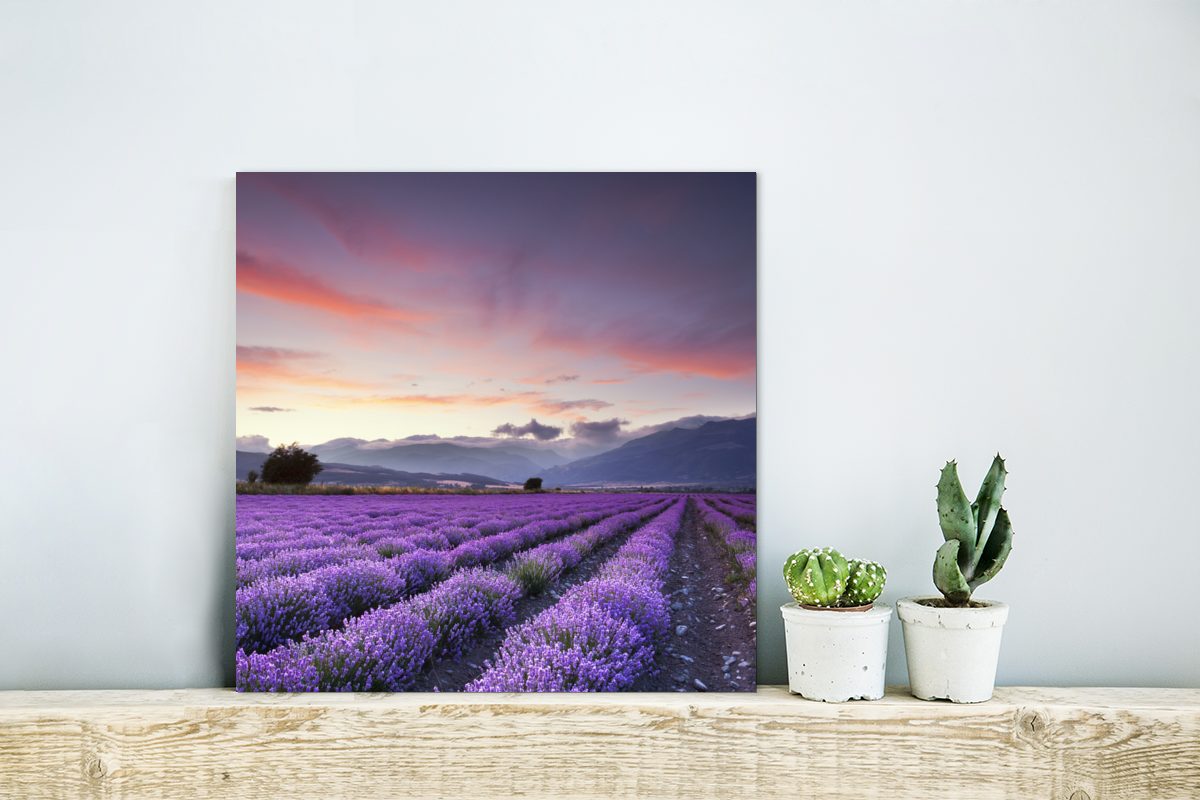 Lavendel, Metall, deko aus (1 St), über Alu-Dibond-Druck, Gemälde Metallbild Sonnenuntergang Aluminium MuchoWow