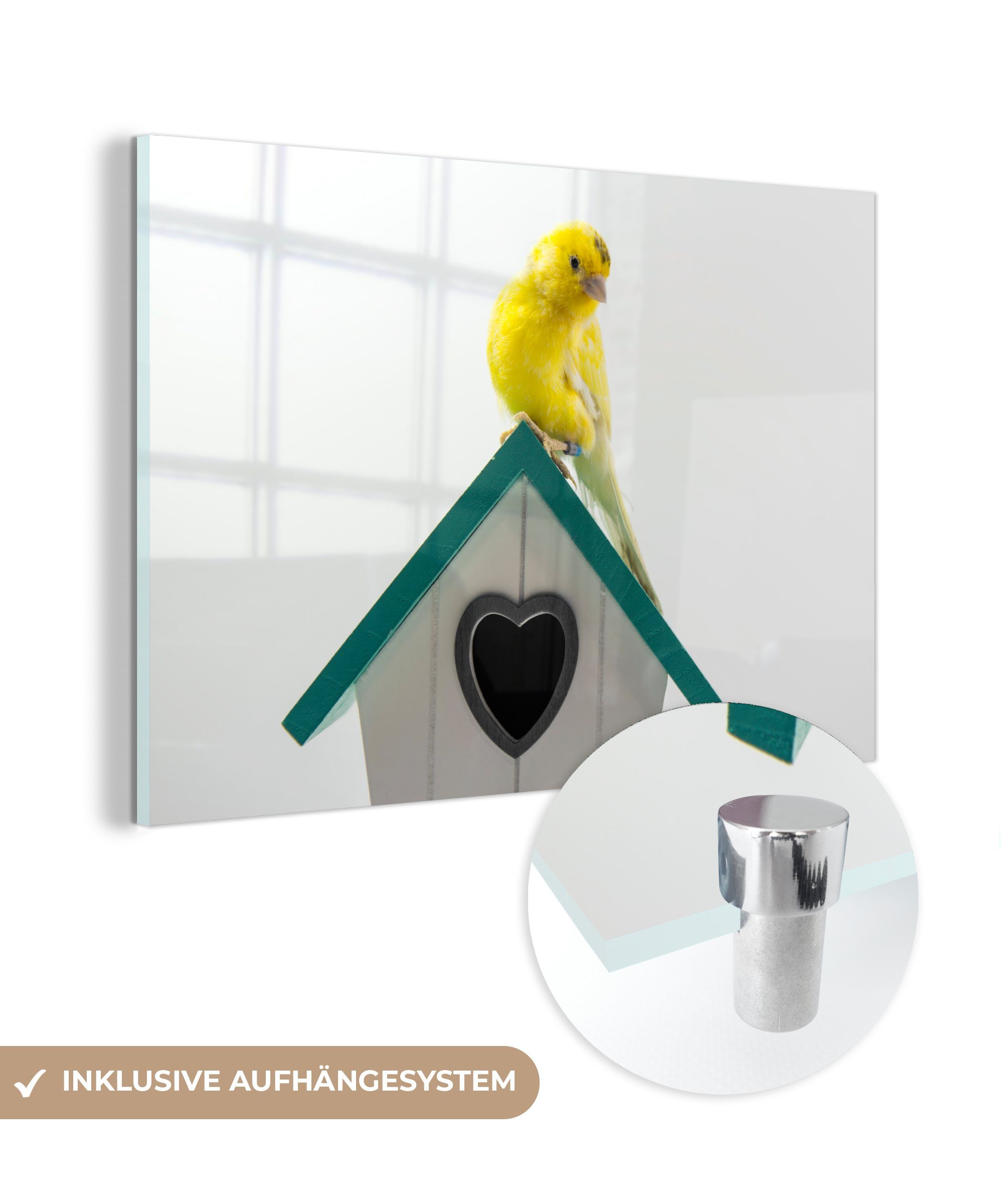 MuchoWow Acrylglasbild Vogelhäuschen, Wohnzimmer auf Schlafzimmer gelber & Kanarienvogel St), einem (1 Ein Acrylglasbilder