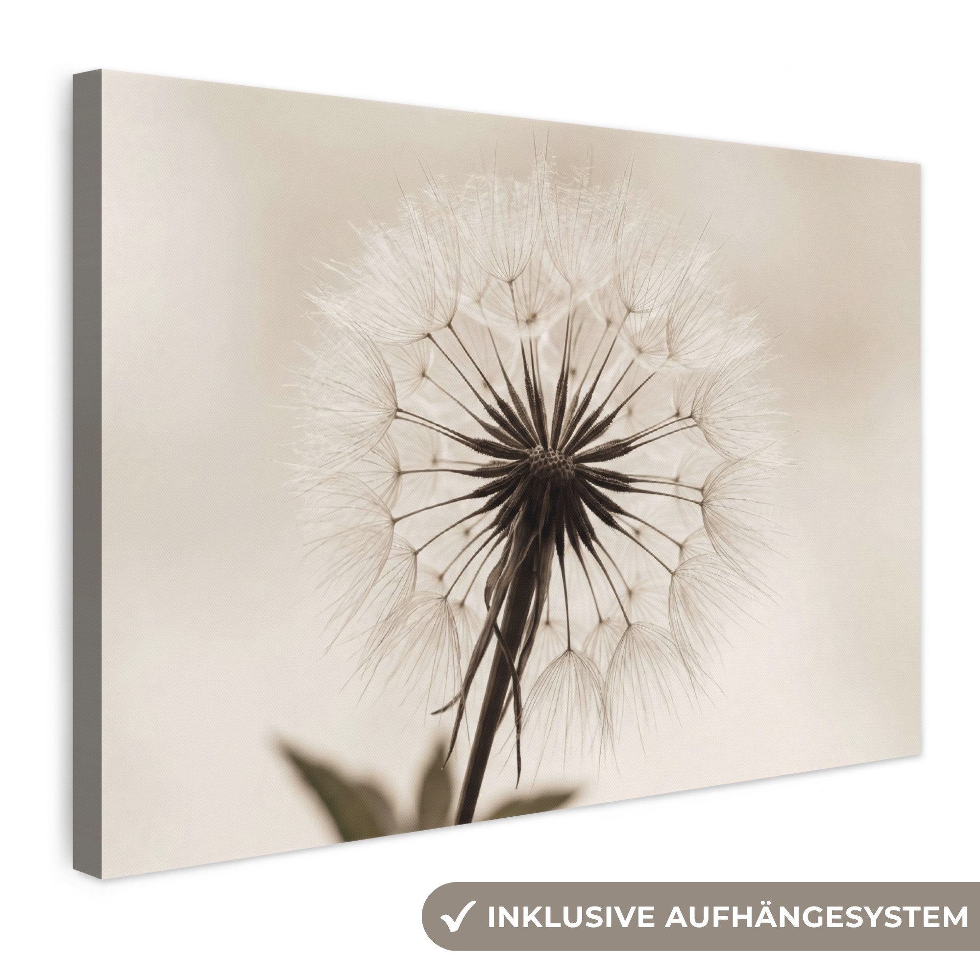 OneMillionCanvasses® Leinwandbild Pusteblume - Minimalistisch - Weiß, Fotodruck (1 St), Leinwand Bilder Klein, Wand Dekoration Aesthetic 30x20 cm