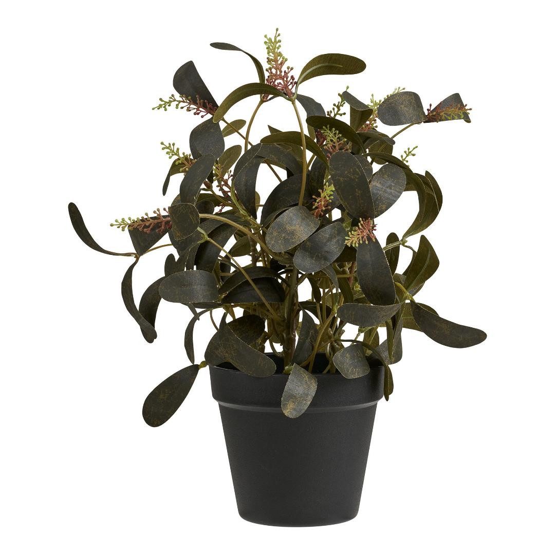 Kunstpflanze Yria künstliche Pflanze Höhe 35cm grün., House Nordic, Höhe 35 cm