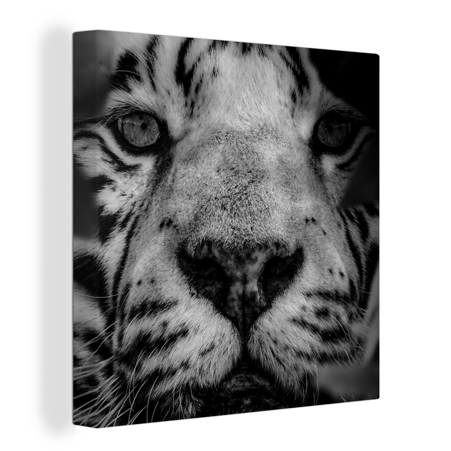 OneMillionCanvasses® Leinwandbild Dschungel - Tiger - Schwarz - Weiß, (1 St), Leinwand Bilder für Wohnzimmer Schlafzimmer