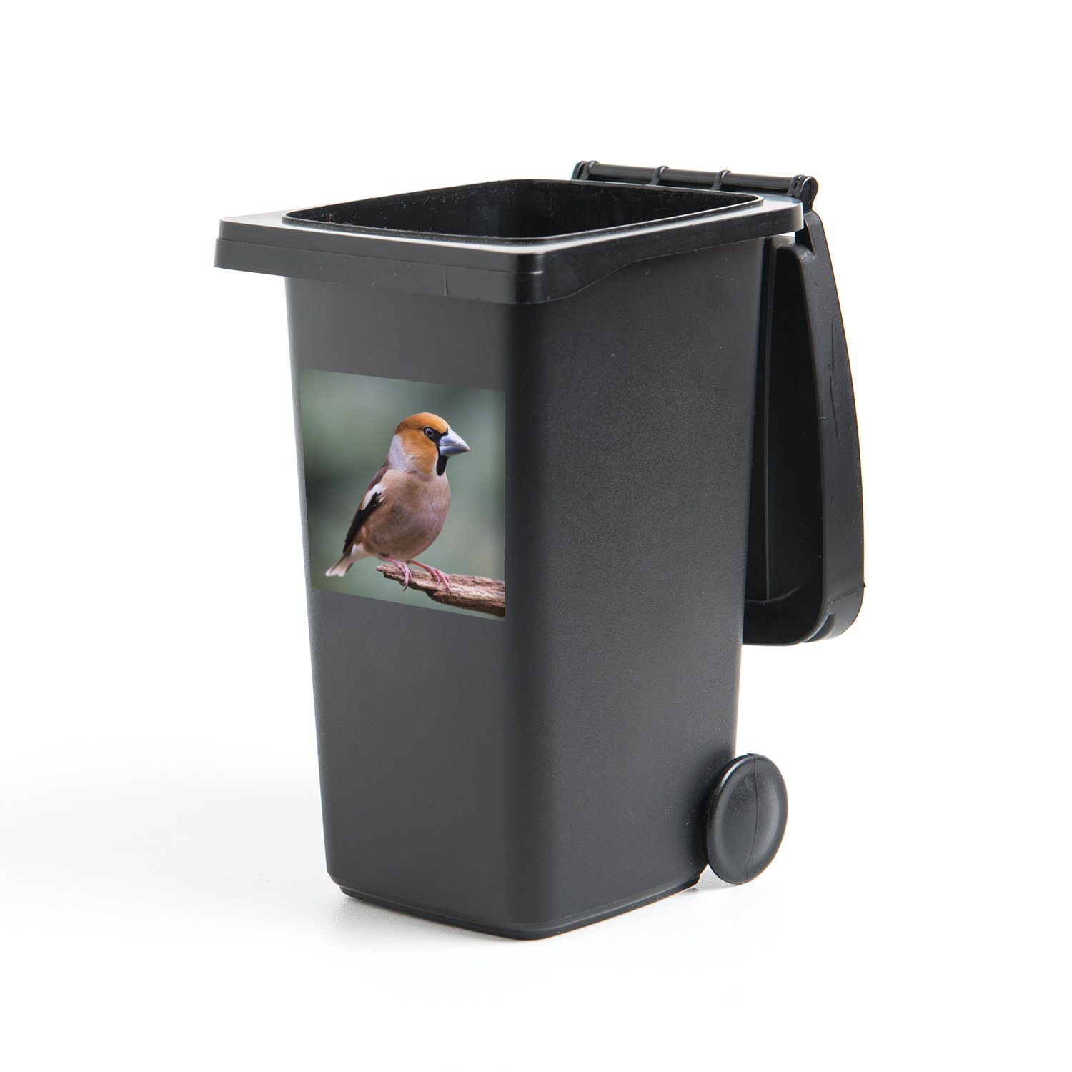 MuchoWow Wandsticker Bunter Apfelfink sitzt auf dem Ende eines kleinen Astes (1 St), Mülleimer-aufkleber, Mülltonne, Sticker, Container, Abfalbehälter