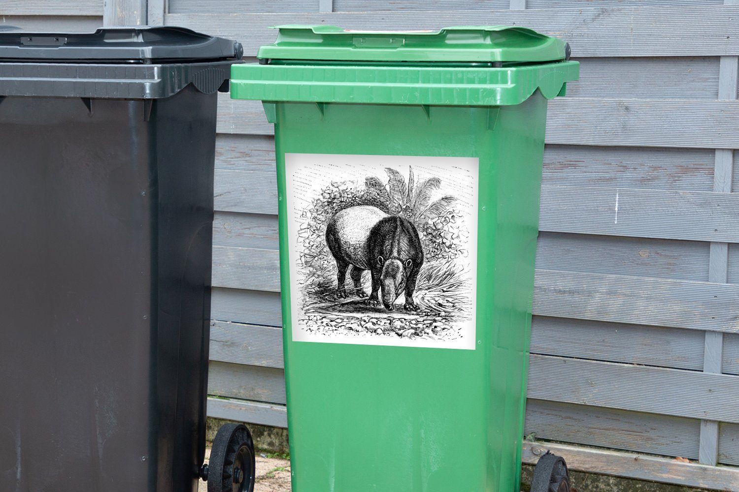 Container, Schwarz-Weiß Illustration MuchoWow Mülleimer-aufkleber, Tapirs Wandsticker eines in Sticker, St), (1 Abfalbehälter Mülltonne,