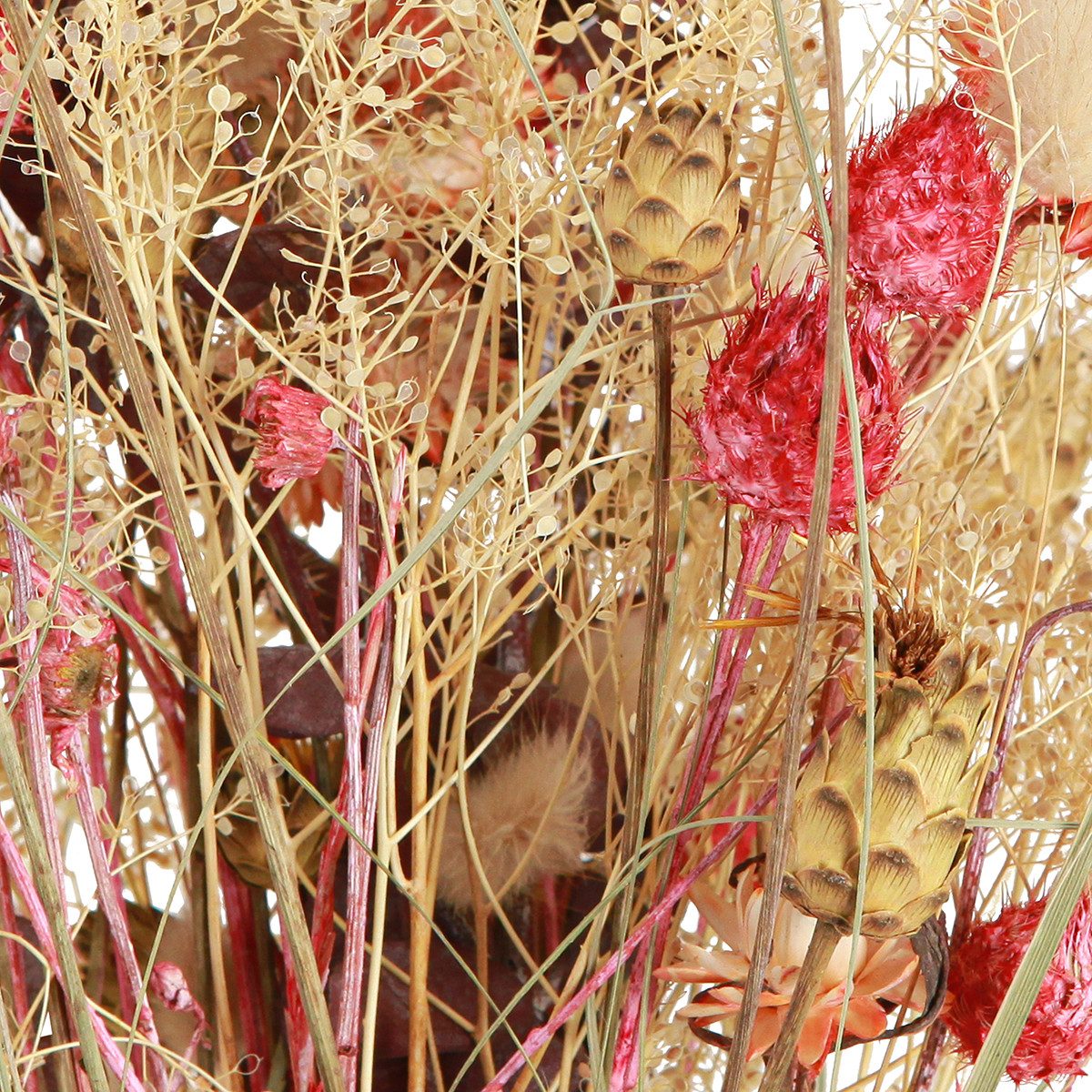 Trockenblume Trockenblumenstrauß Boho-Deko Erdbeerdistel & Flockenblume günstig online kaufen