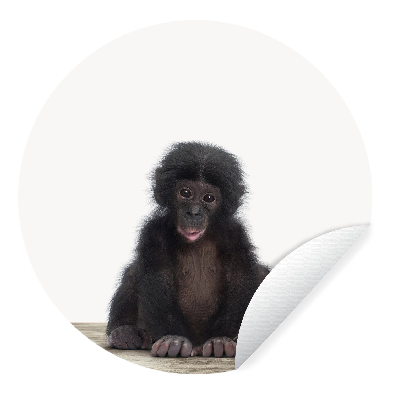 MuchoWow Wandsticker Tiere - Schimpanse - Baby (1 St), Tapetenkreis für Kinderzimmer, Tapetenaufkleber, Rund, Wohnzimmer