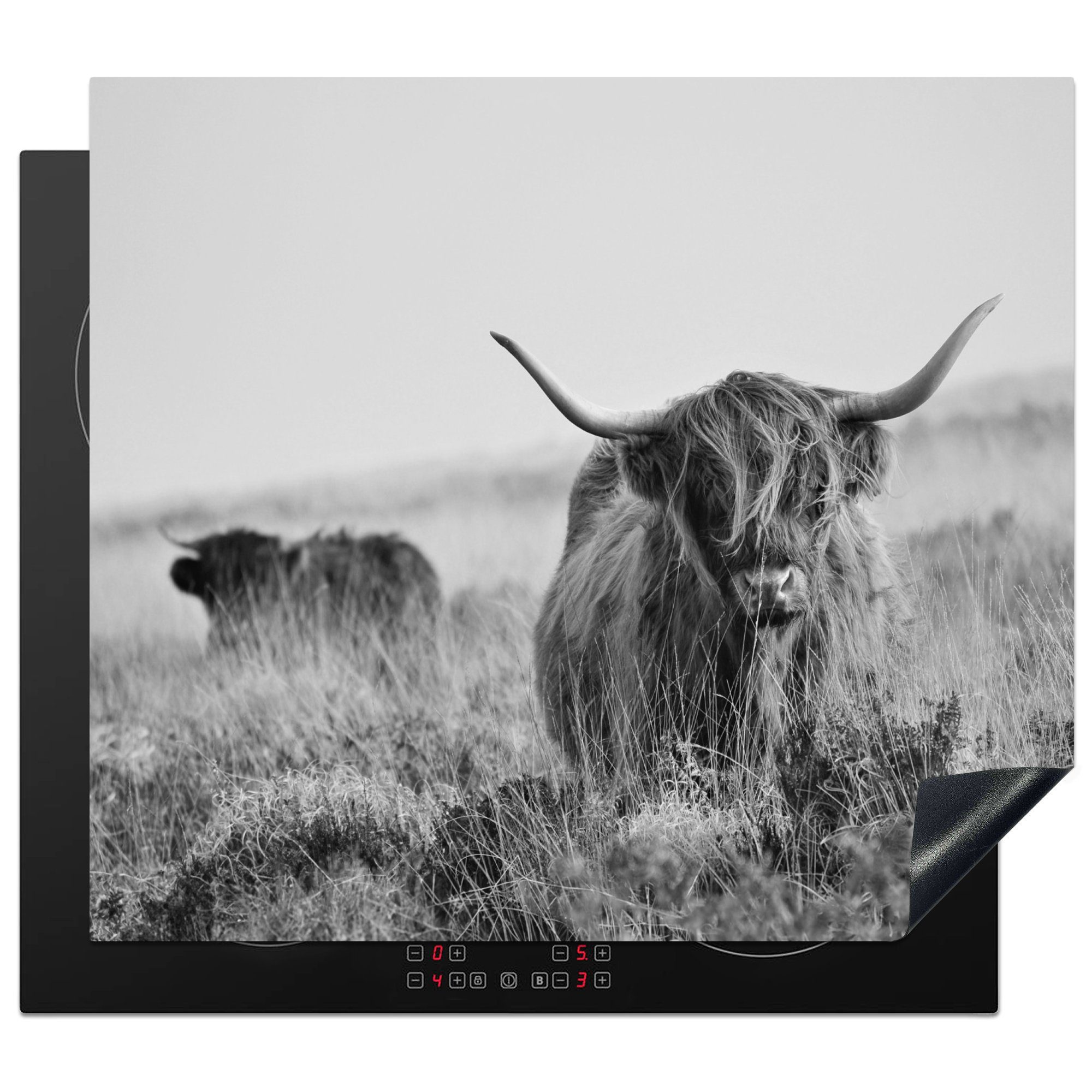 - Ceranfeldabdeckung cm, Natur, tlg), - Fell - nutzbar, - Hörner Kuh Grau Mobile MuchoWow Schottischer Highlander Arbeitsfläche (1 60x52 Herdblende-/Abdeckplatte - Vinyl,