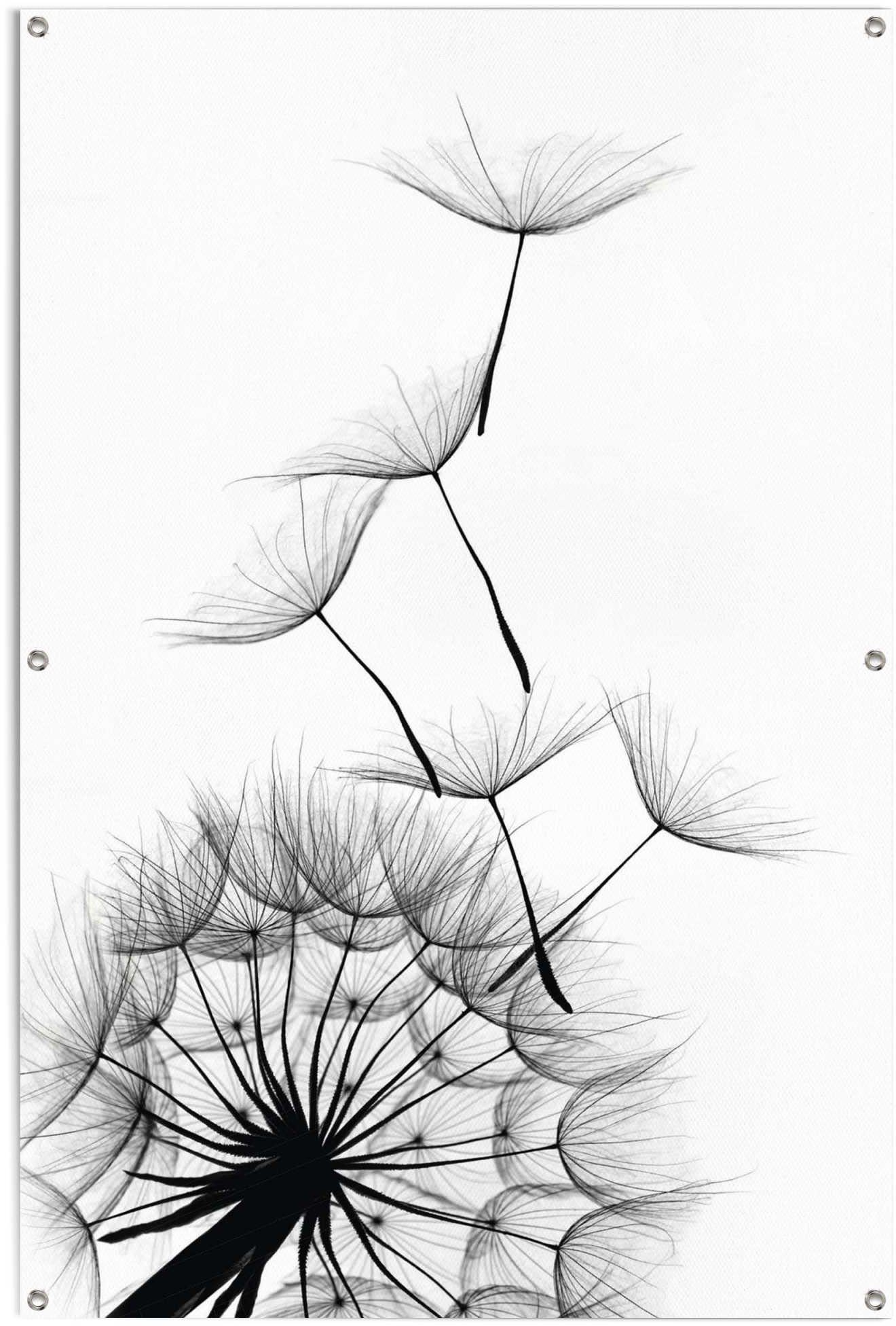 Reinders! Poster Pusteblume, leichtes und wasserfestes Gartenposter für den Außeneinsatz