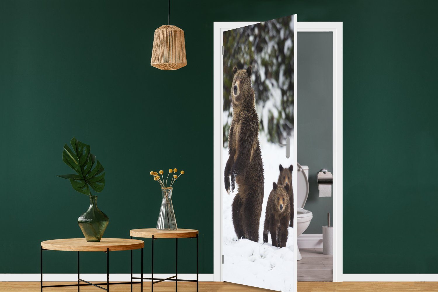 Tür, Matt, Türtapete 75x205 Türaufkleber, Fototapete Stehender MuchoWow St), für bedruckt, cm Grizzlybär, (1