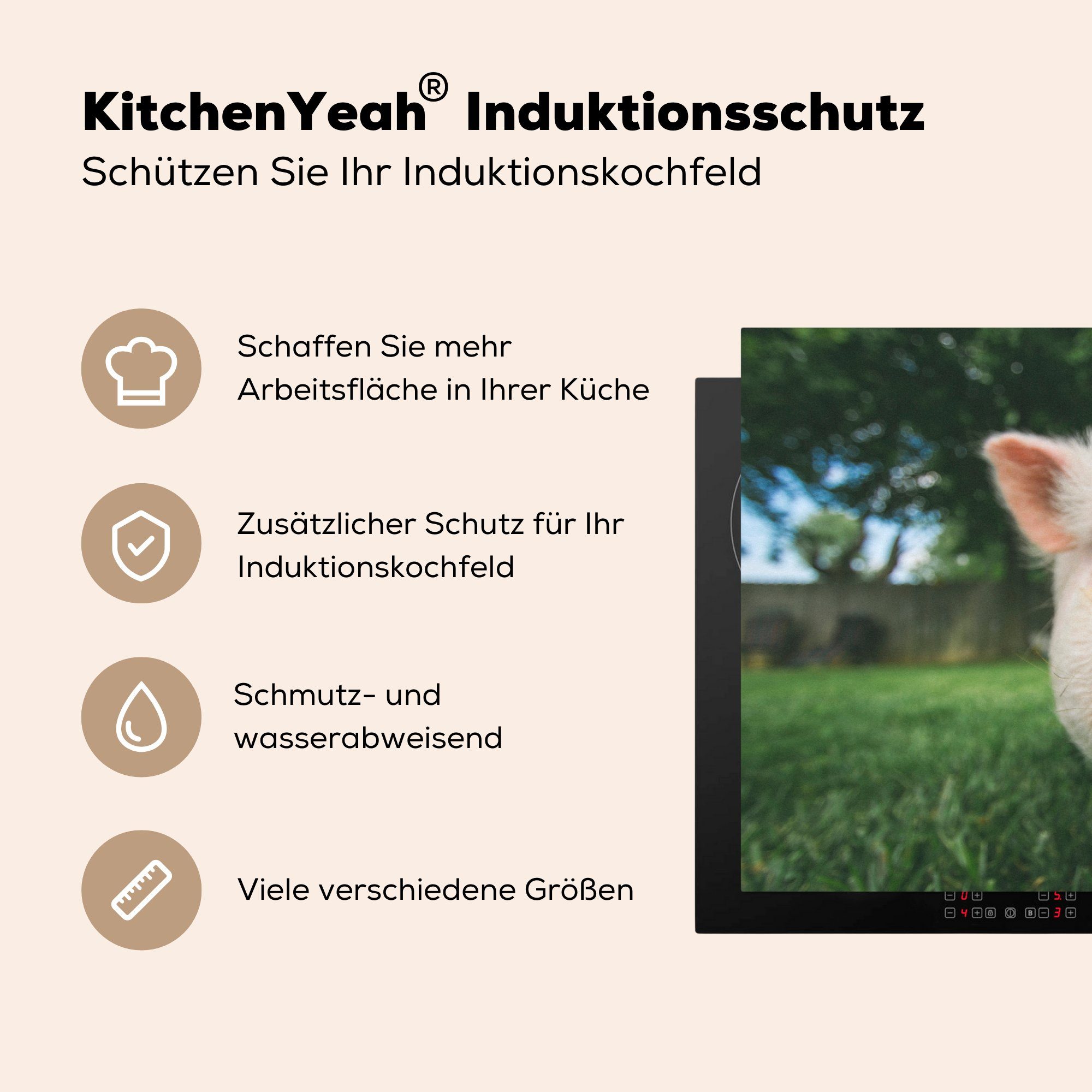 81x52 - Ceranfeldabdeckung (1 cm, Herdblende-/Abdeckplatte Schutz Vinyl, für Schwein tlg), Nahaufnahme MuchoWow Induktionskochfeld - küche, Gras, die