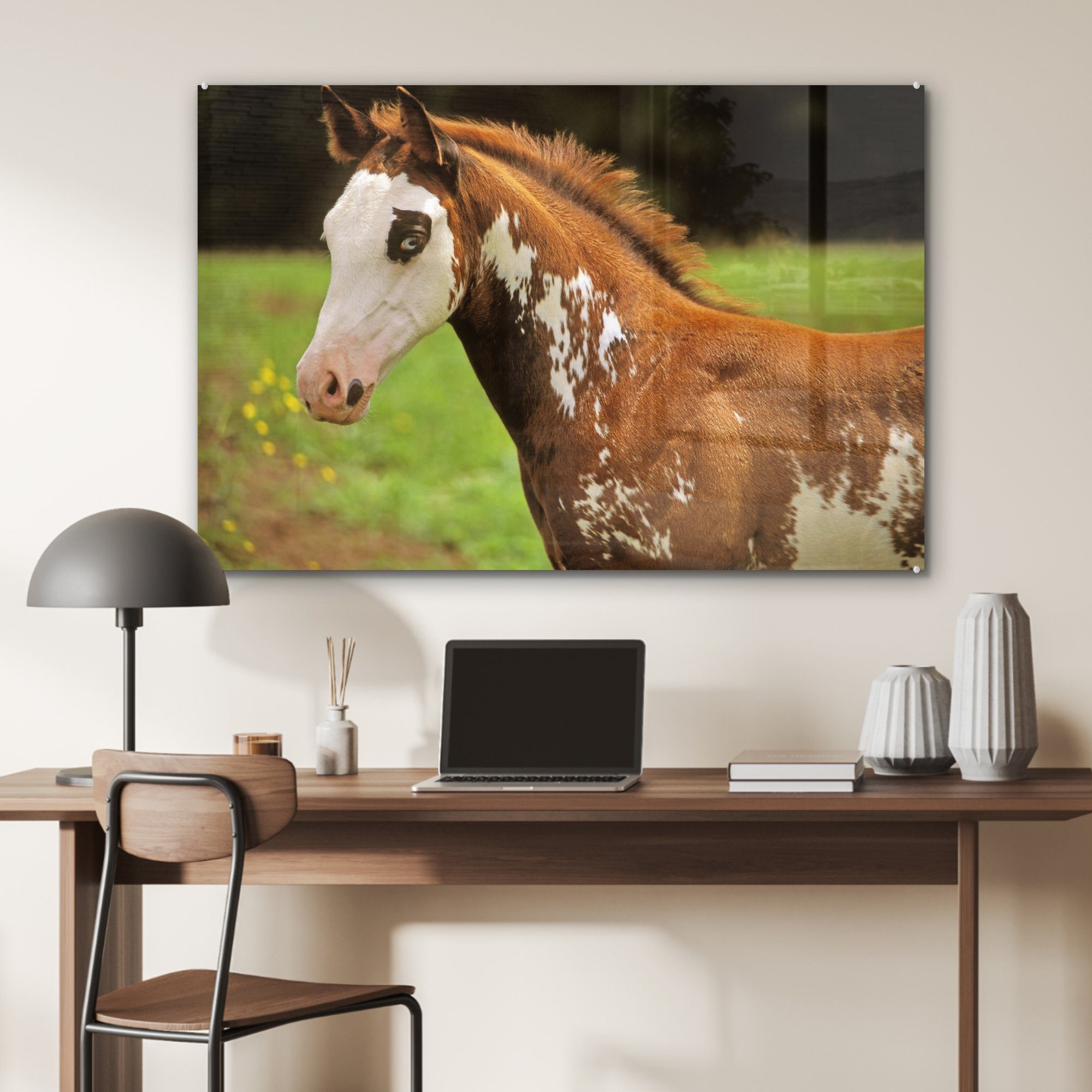 Wohnzimmer MuchoWow Pferd (1 Schlafzimmer Braun, Acrylglasbilder - Weiß St), Acrylglasbild & -