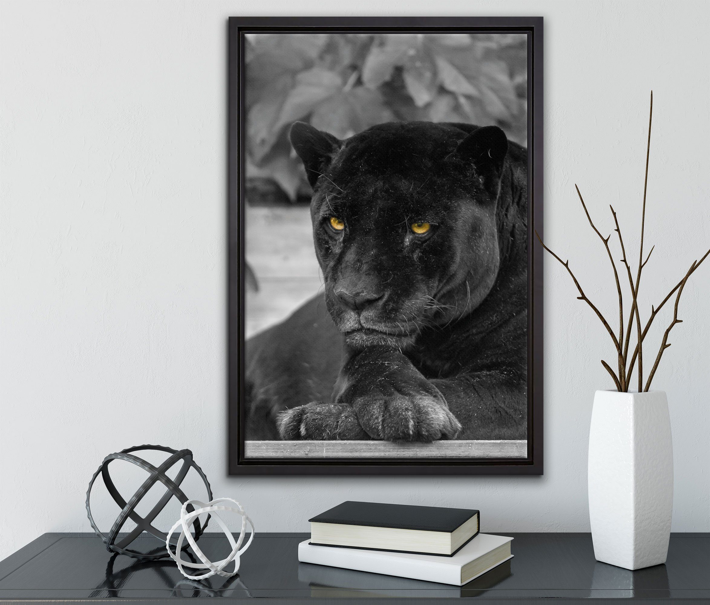 fertig Leinwandbild Zackenaufhänger Panther, St), Leinwandbild in schwarzer Wanddekoration einem Schattenfugen-Bilderrahmen (1 Pixxprint bespannt, gefasst, inkl.