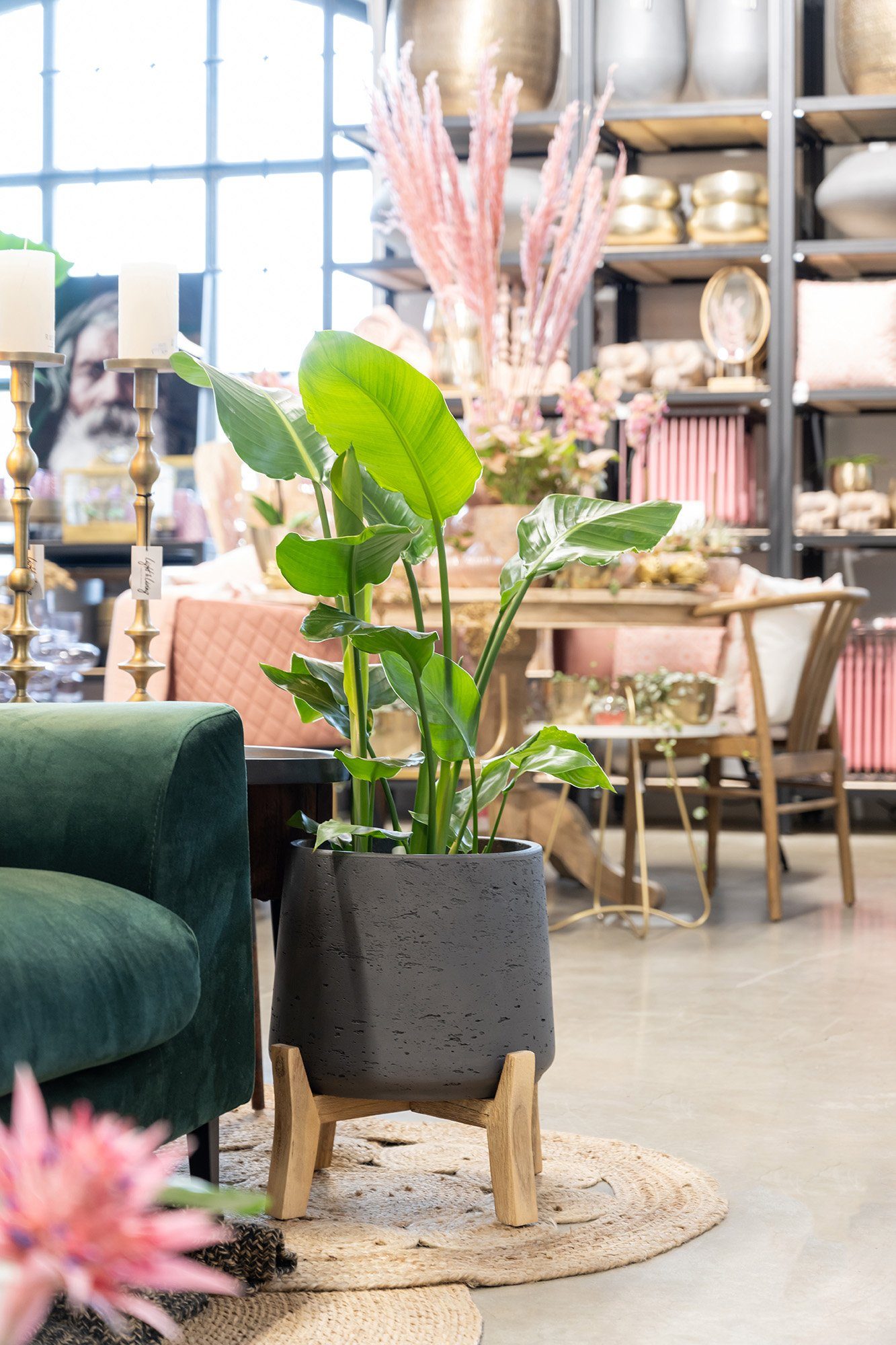 finestgreen Pflanzkübel Patt Feet Low günstig online kaufen