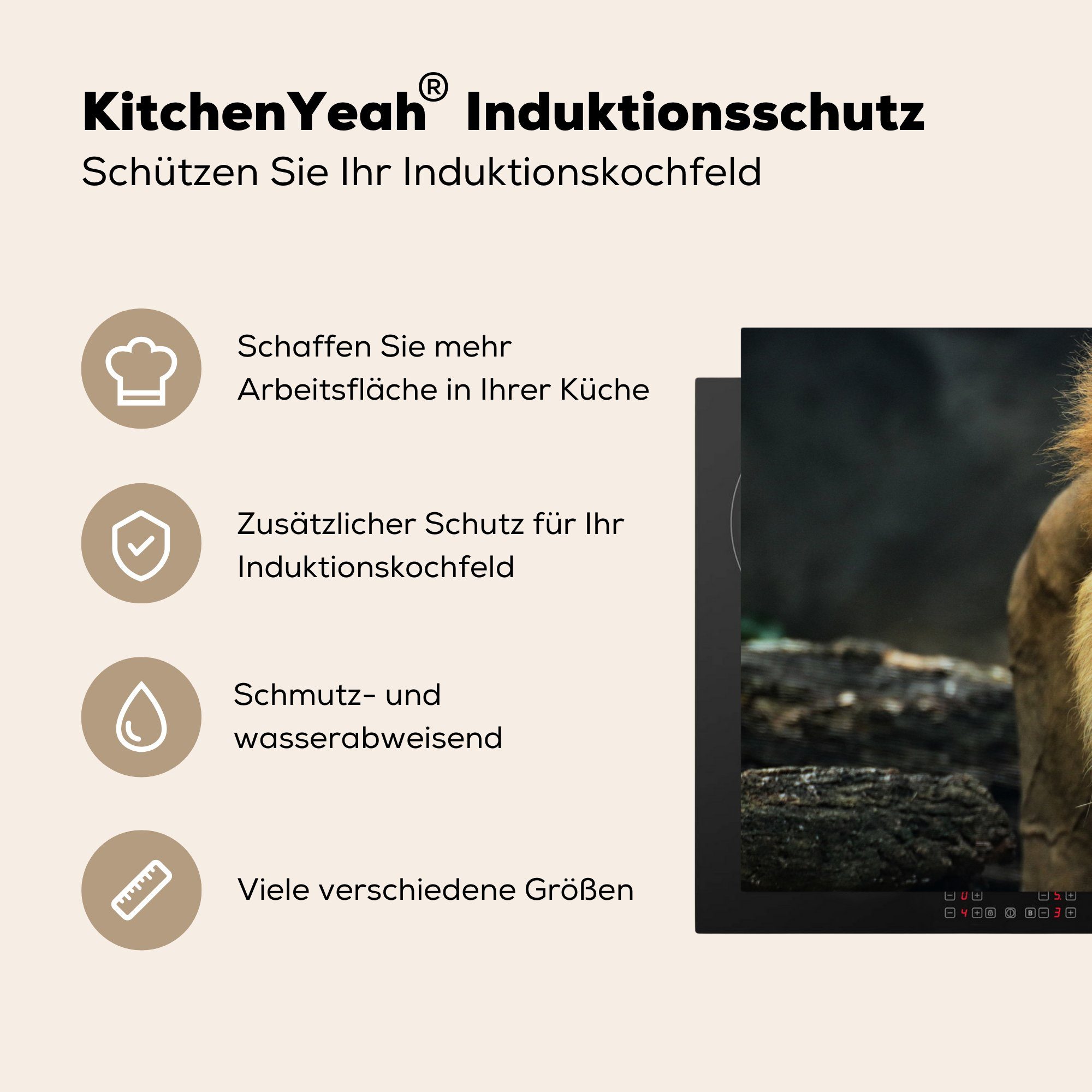Induktionskochfeld küche, 81x52 Herdblende-/Abdeckplatte Porträt cm, Löwe Wild, für - die (1 tlg), Vinyl, Schutz Ceranfeldabdeckung MuchoWow -