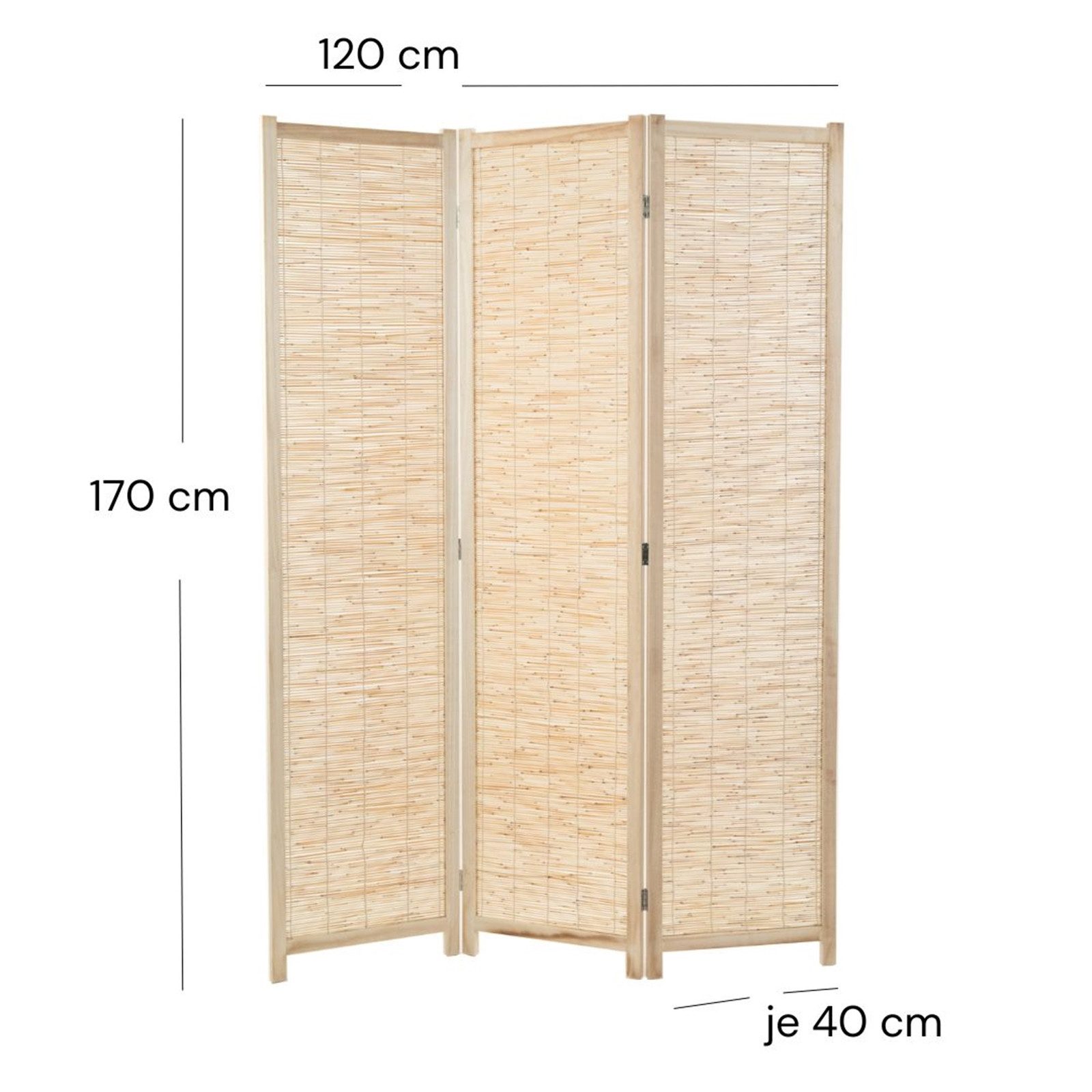 DESIGN DELIGHTS Paravent RAUMTEILER PLAYA, Schilfrohr, günstig online kaufen