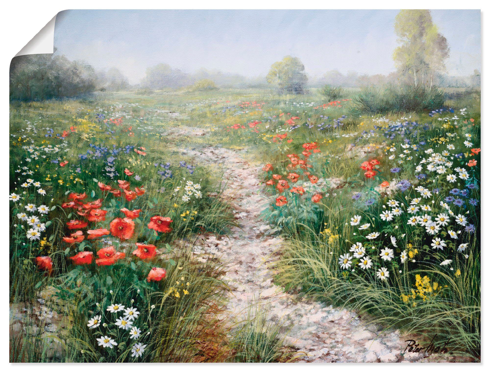 Artland Wandbild Dichte der Natur, Blumenwiese (1 St), als Leinwandbild, Poster in verschied. Größen