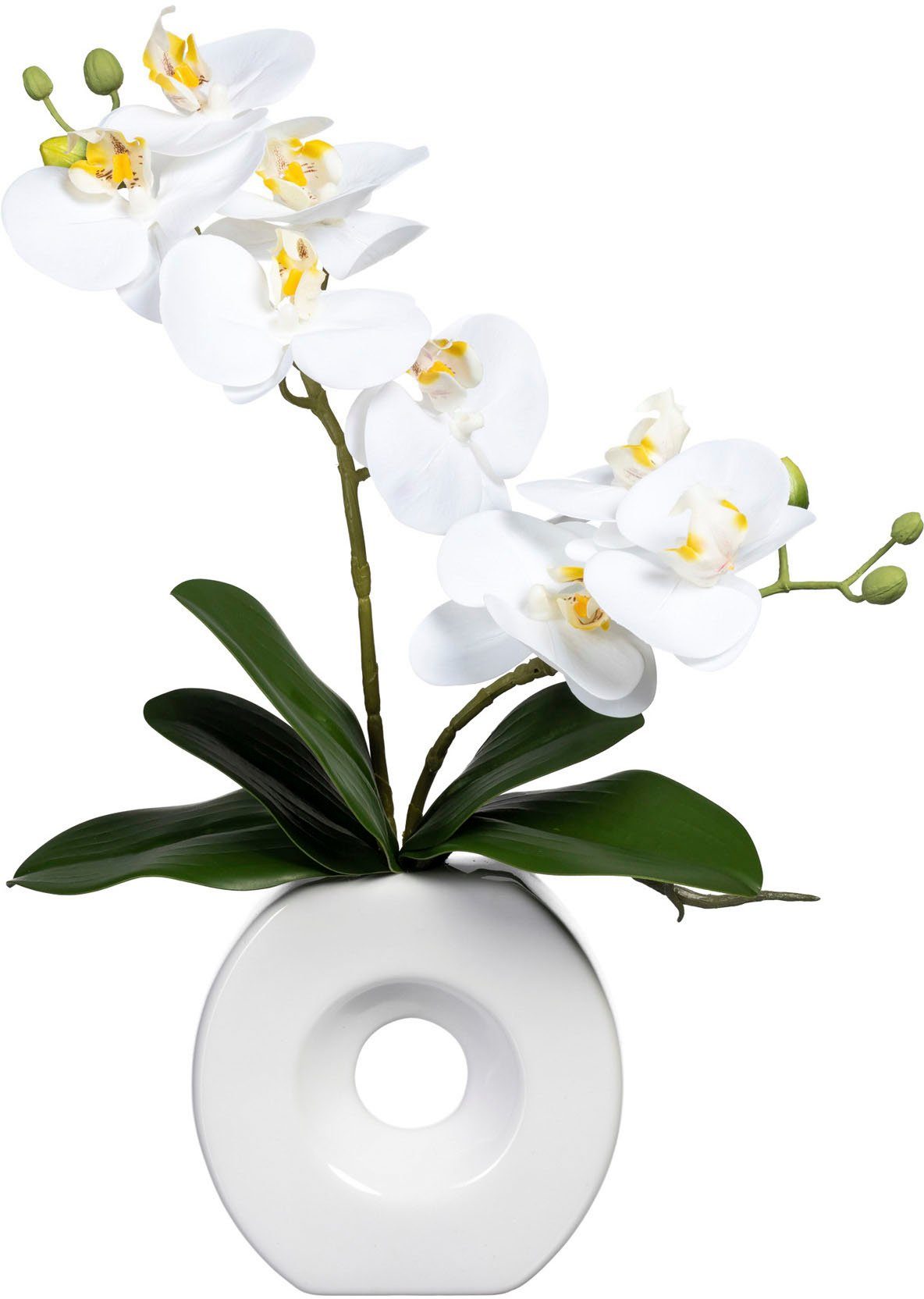 Kunstorchidee Phalaenopsis Orchidee Phalaenopsis, Creativ green, Höhe 35 cm günstig online kaufen