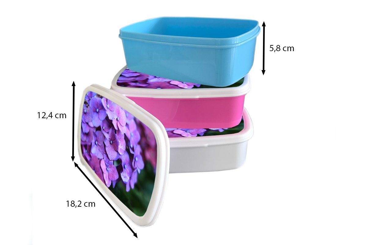 Brotbox Lunchbox Blumen - Brotdose, Hortensie Mädchen für - weiß Kinder Jungs Natur Blütenblätter, - - Erwachsene, für MuchoWow und Lila (2-tlg), Kunststoff, und