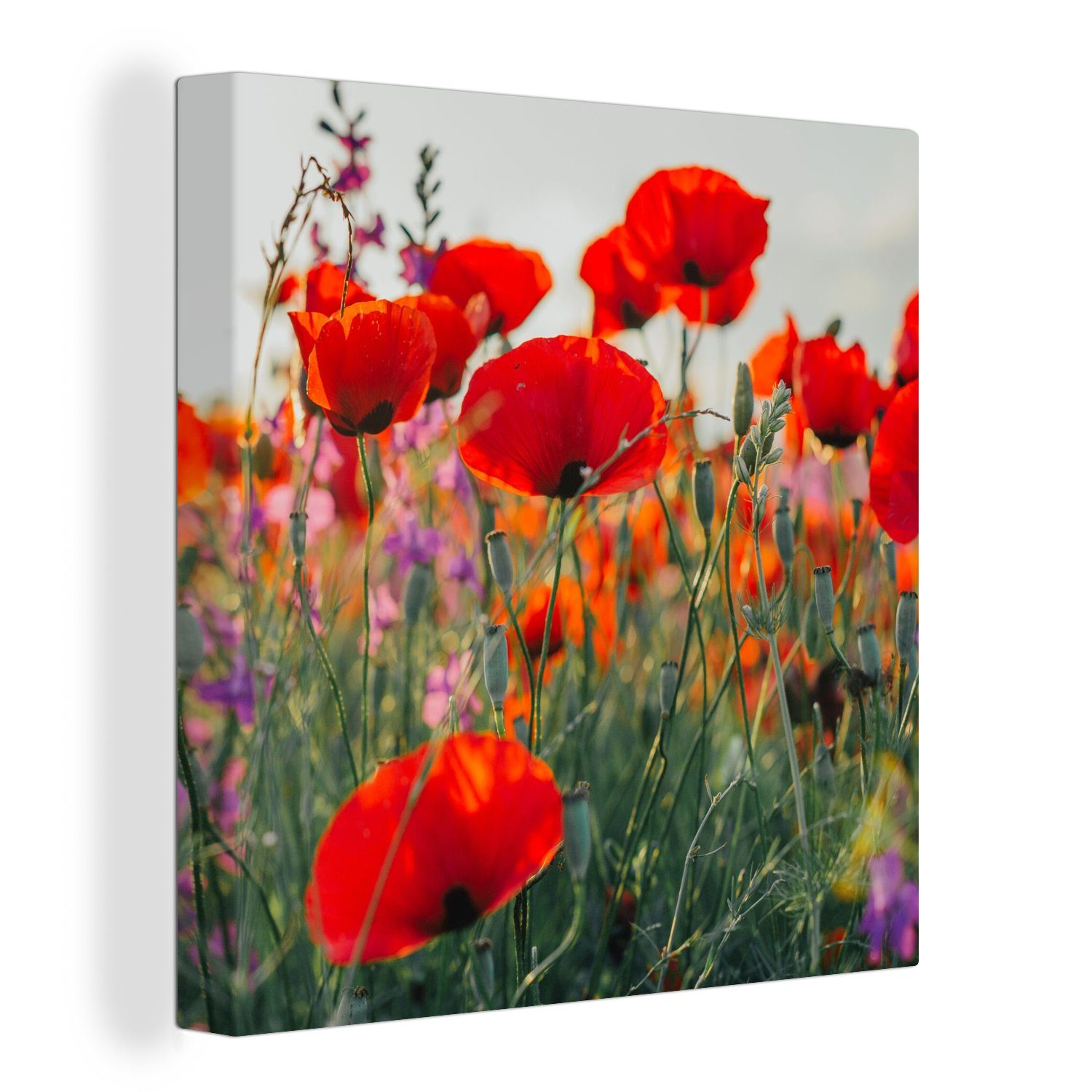 OneMillionCanvasses® Leinwandbild Mohn - Blumen - Rot - Lila - Wiese, Fotodruck (1 St), Wandbild, Deko Schlafzimmer Wohnzimmer Flur 20x20 cm
