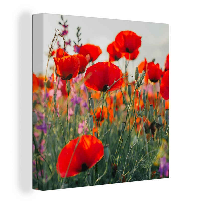 OneMillionCanvasses® Leinwandbild Mohn - Blumen - Rot - Lila - Wiese, (1 St), Leinwand Bilder für Wohnzimmer Schlafzimmer