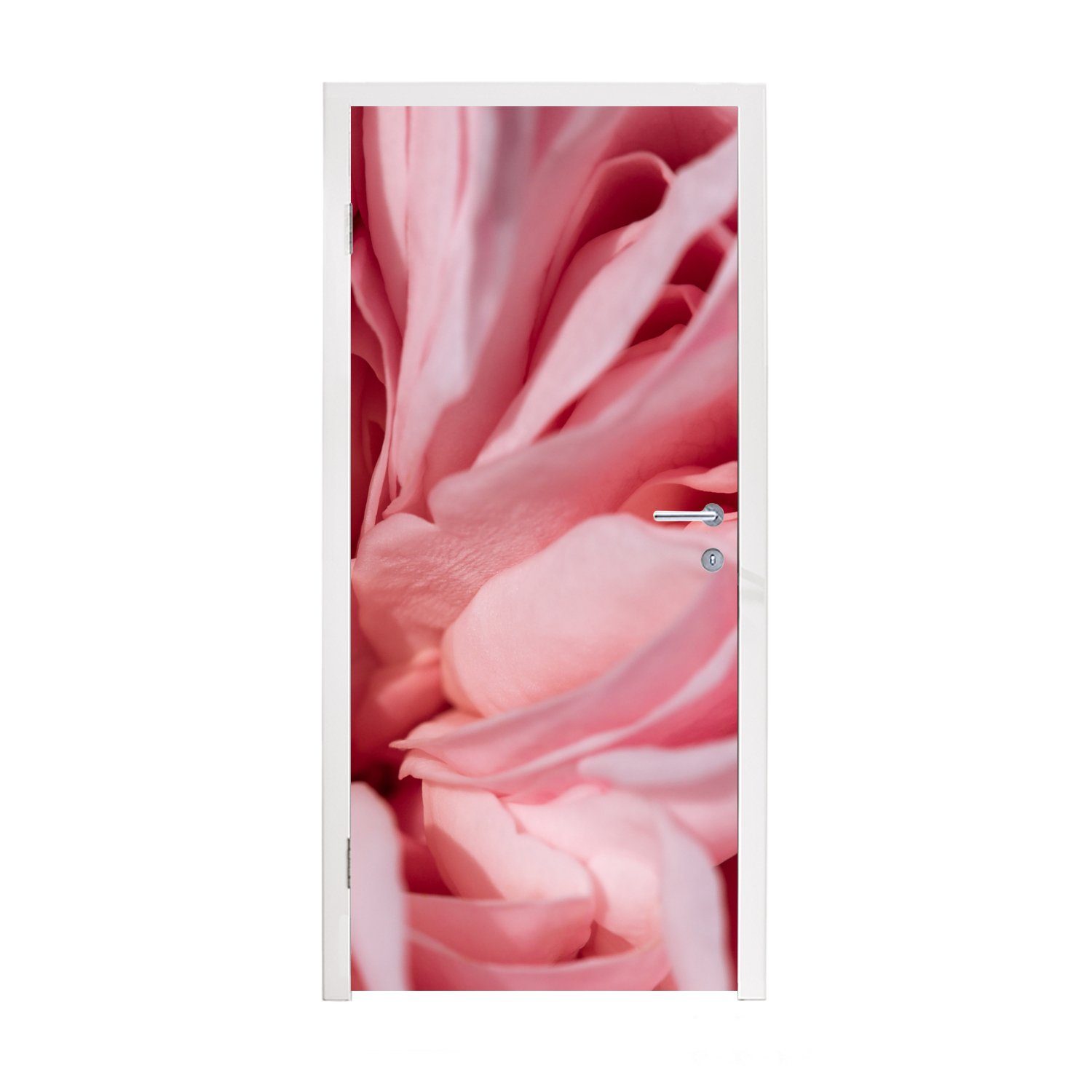MuchoWow Türtapete Die gefalteten Blätter einer rosa Rose, Matt, bedruckt, (1 St), Fototapete für Tür, Türaufkleber, 75x205 cm