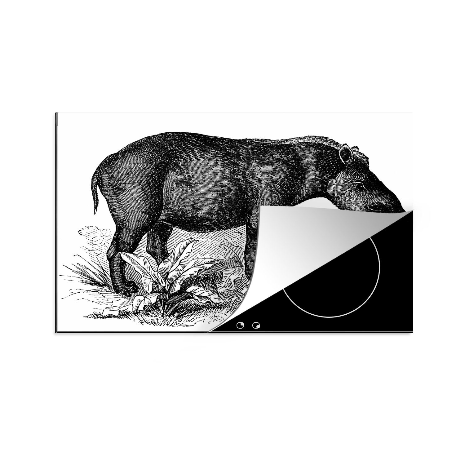 MuchoWow Herdblende-/Abdeckplatte Illustration eines Tapirs in Schwarz-Weiß, Vinyl, (1 tlg), 81x52 cm, Induktionskochfeld Schutz für die küche, Ceranfeldabdeckung