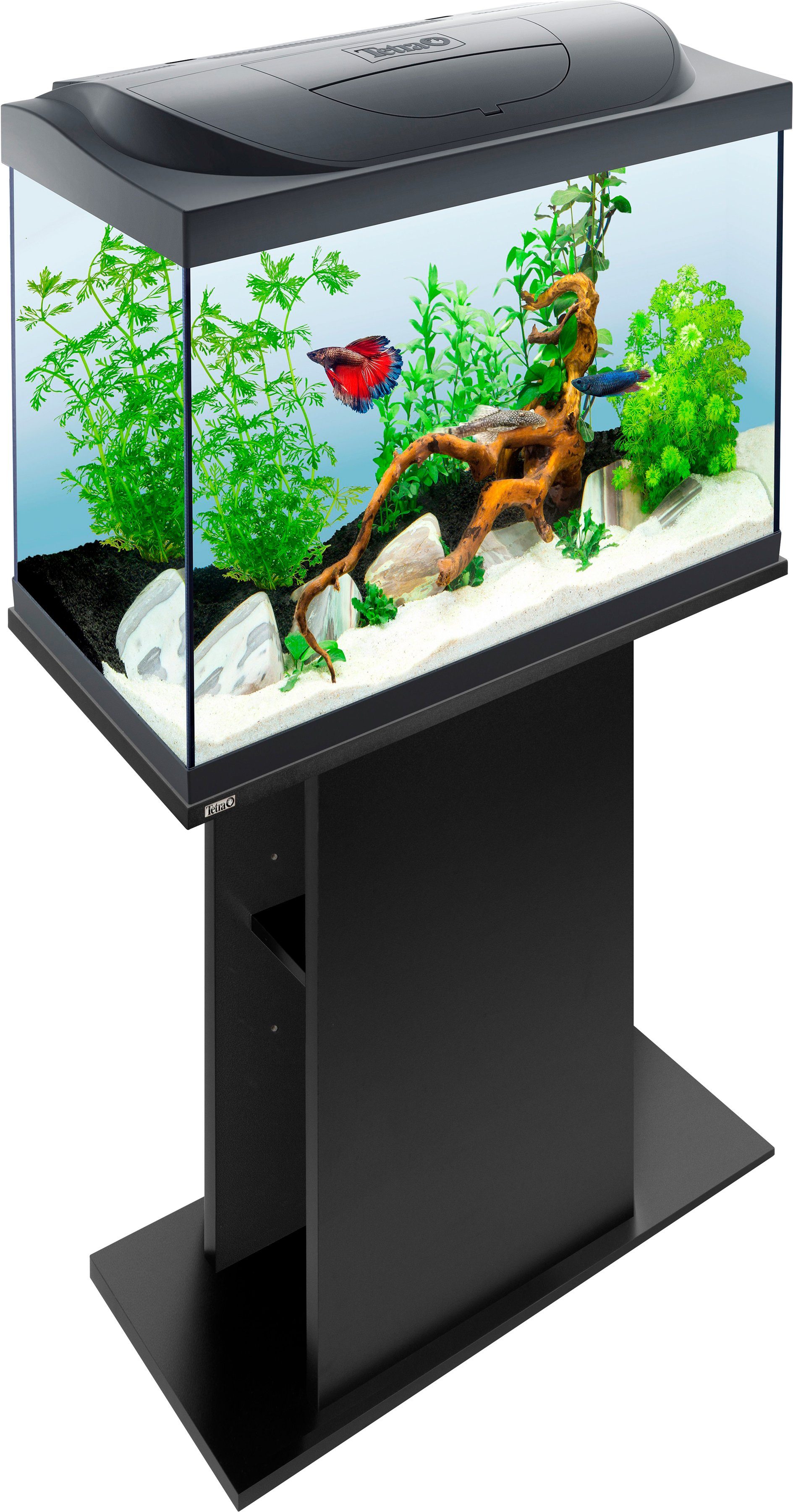 Tetra Aquariumunterschrank StarterLine cm 61x31x73 BxTxH