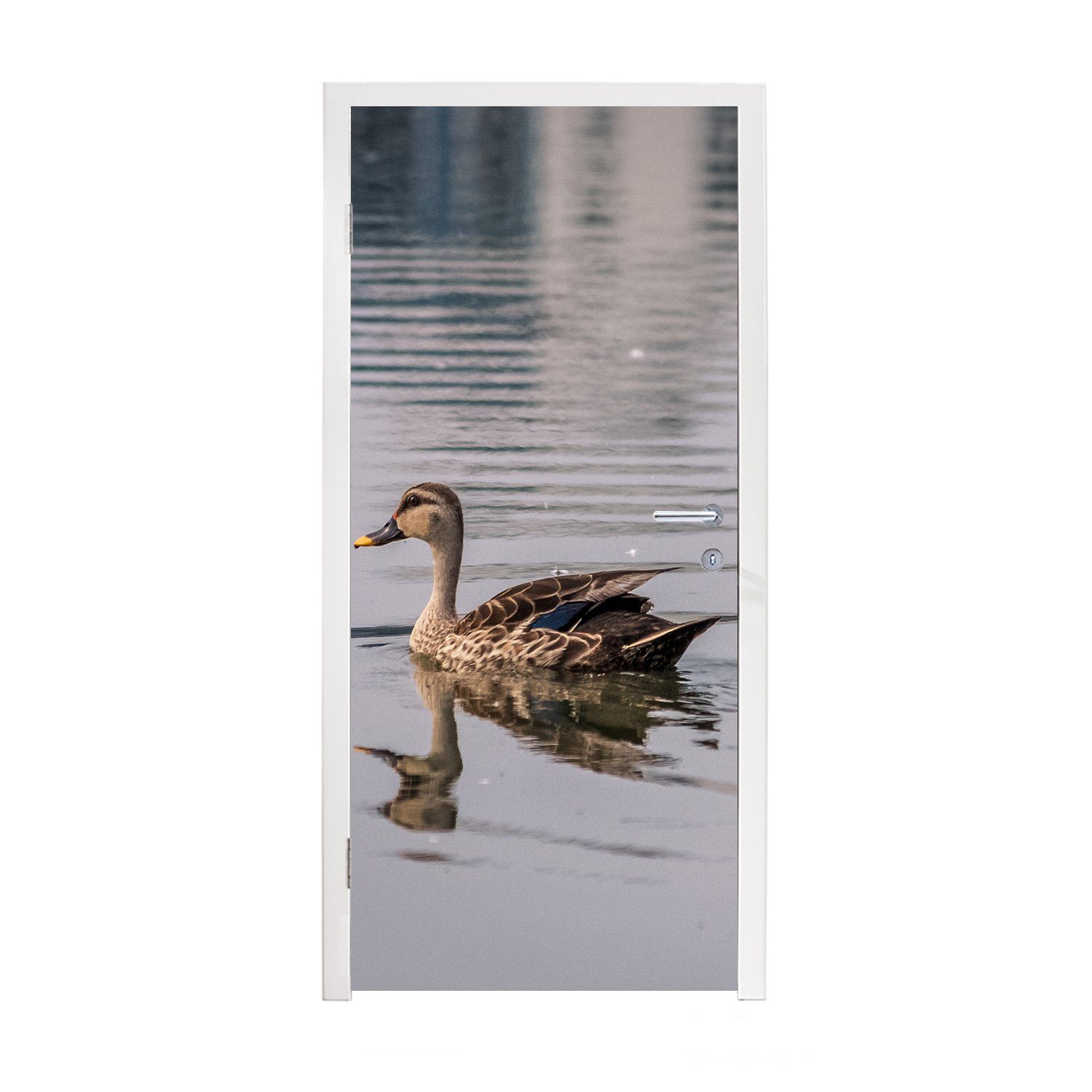 MuchoWow Türtapete Ente - Wasser - Vogel - Braun, Matt, bedruckt, (1 St), Fototapete für Tür, Türaufkleber, 75x205 cm