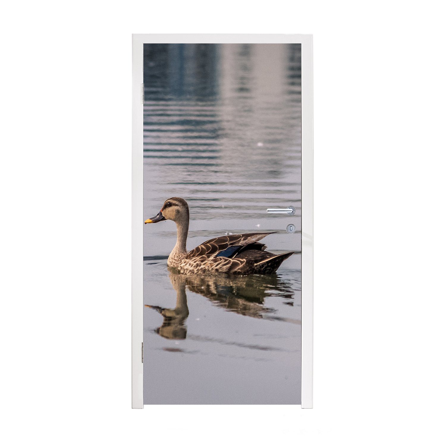 bedruckt, Vogel 75x205 cm Tür, MuchoWow Wasser Türaufkleber, für - Ente Fototapete - St), Türtapete Matt, (1 Braun, -