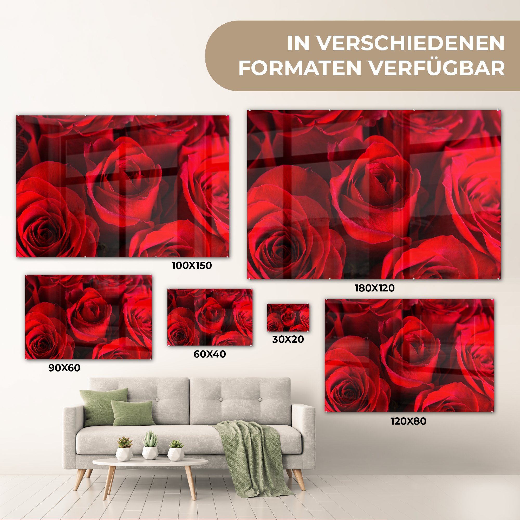 - Blume, MuchoWow Acrylglasbilder Wohnzimmer Schlafzimmer St), (1 - & Acrylglasbild Rosen Rot