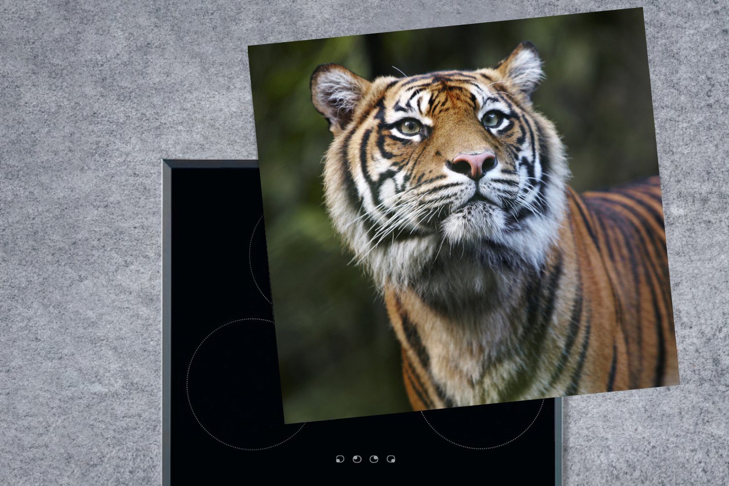 küche Vinyl, cm, 78x78 tlg), MuchoWow (1 Ceranfeldabdeckung, Sumatra-Tigers, Herdblende-/Abdeckplatte für eines Porträt Arbeitsplatte