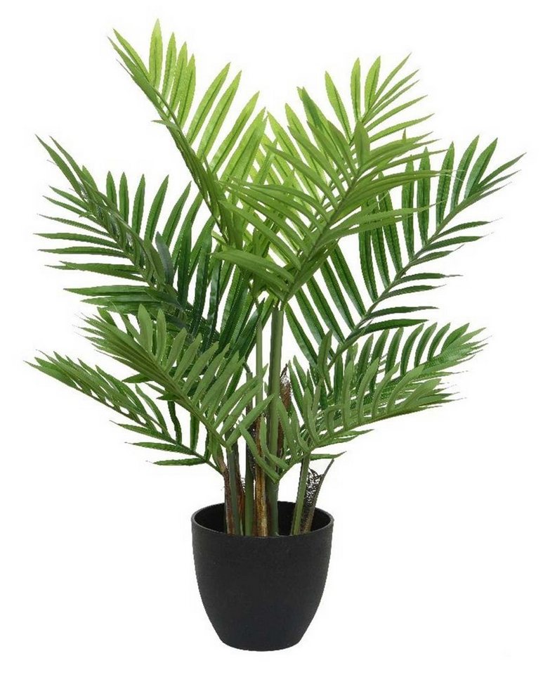 Kunstpflanze TANPIO, Grün, mit schwarzem Kunststofftopf, Palme, Höhe 73,00  cm, naturgetreu, mit einem Durchmesser von 61 cm