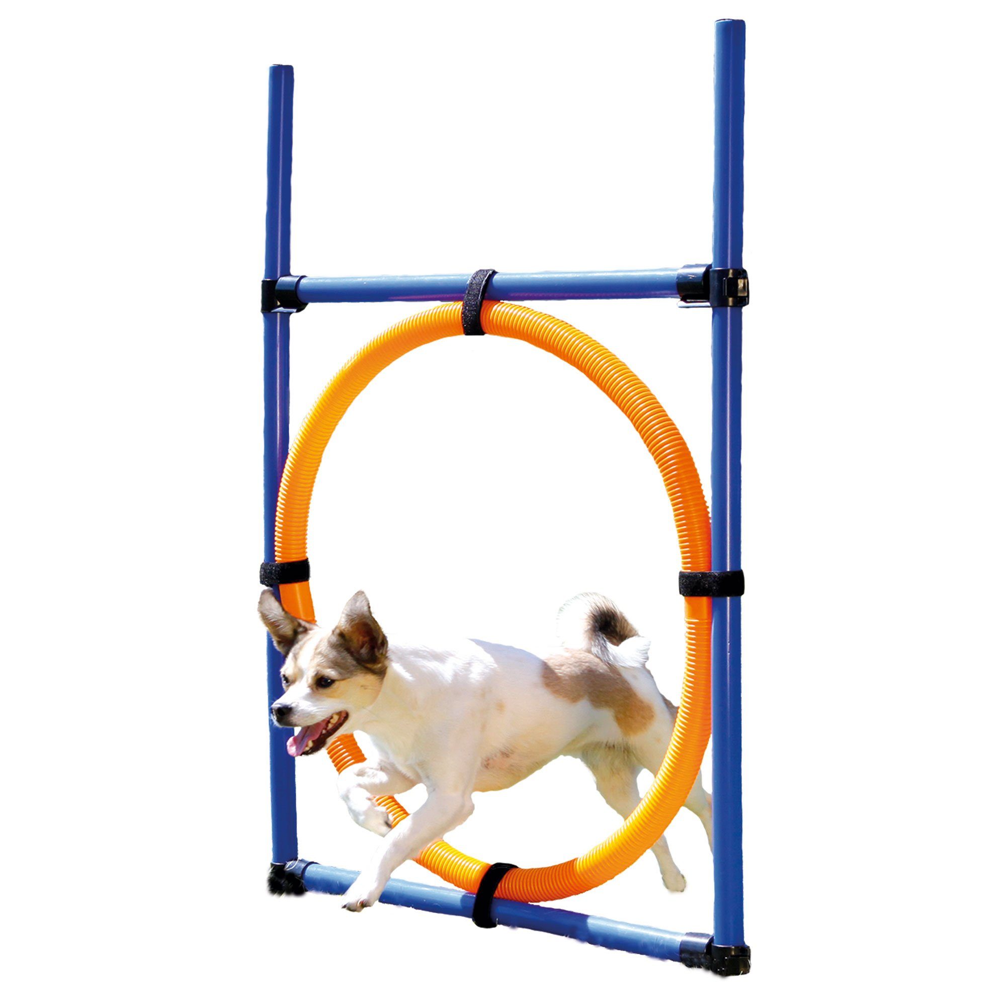 Procyon Agility-Reifen Agility Reifen Set, Kunststoff, (12-tlg) stufenlos höhenverstellbar