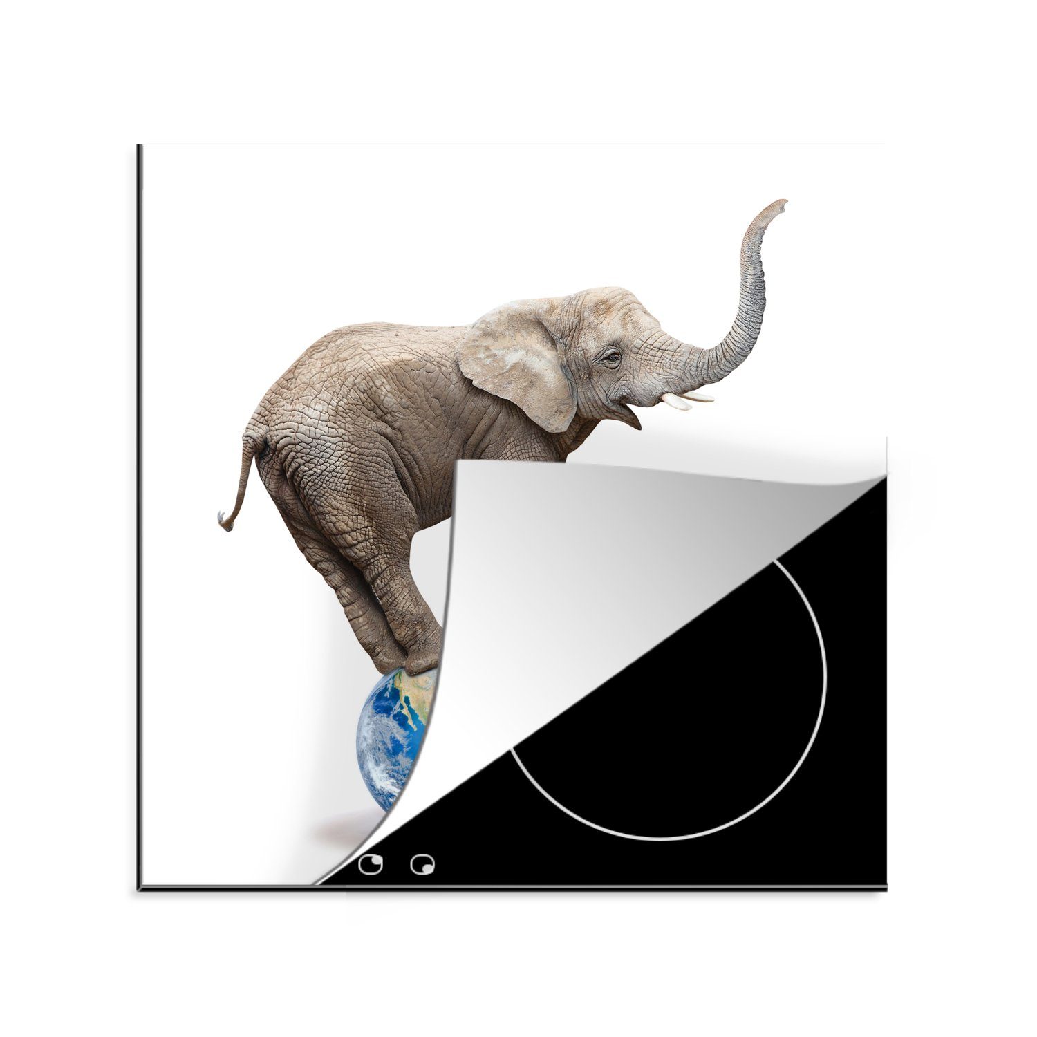 - Weiß, (1 cm, - für tlg), Vinyl, MuchoWow küche Elefant Arbeitsplatte Globus Ceranfeldabdeckung, Herdblende-/Abdeckplatte 78x78