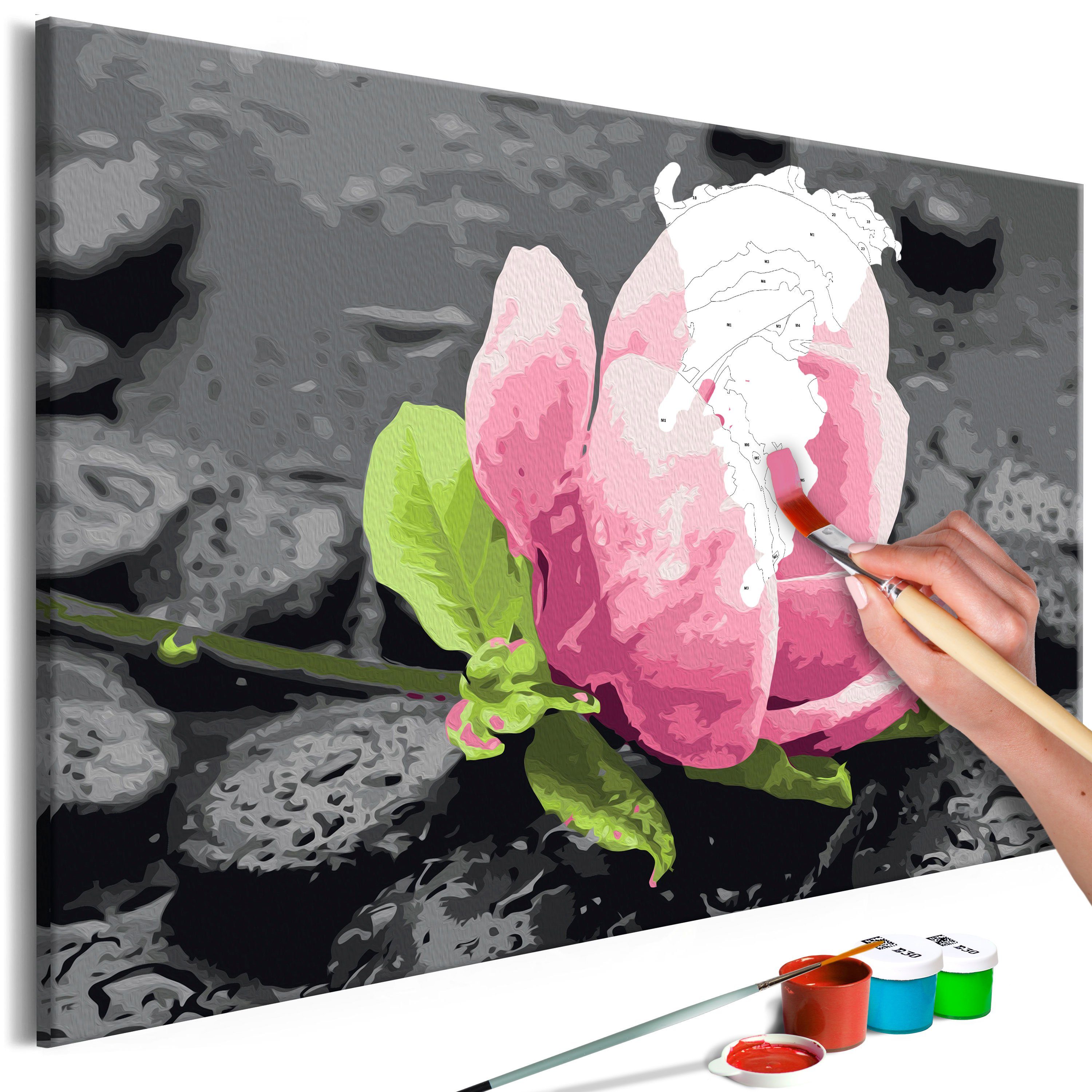 Artgeist Раскрась по номерам Pink Flower and Stones
