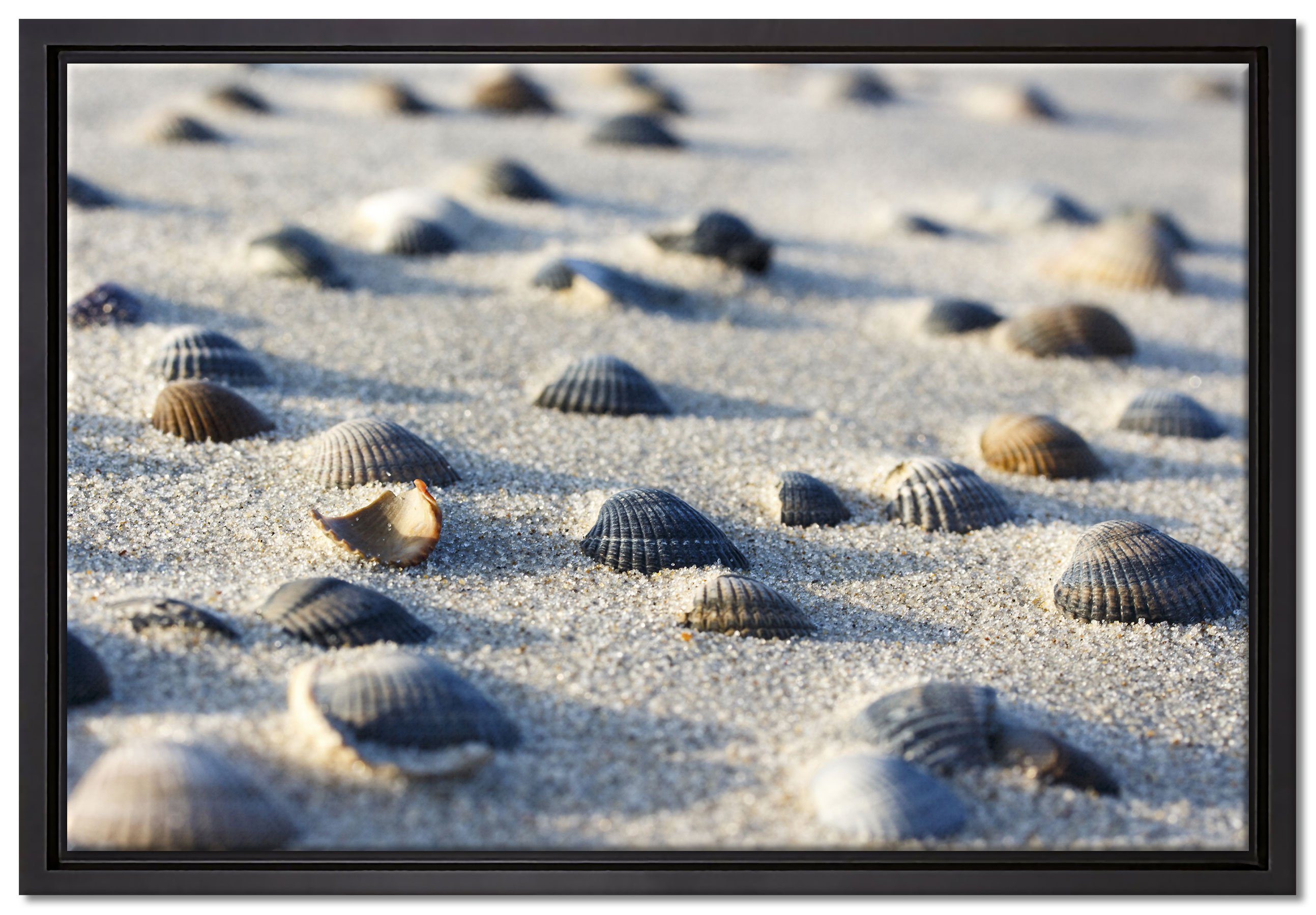 Pixxprint Leinwandbild Muscheln im Sand, Wanddekoration (1 St), Leinwandbild fertig bespannt, in einem Schattenfugen-Bilderrahmen gefasst, inkl. Zackenaufhänger