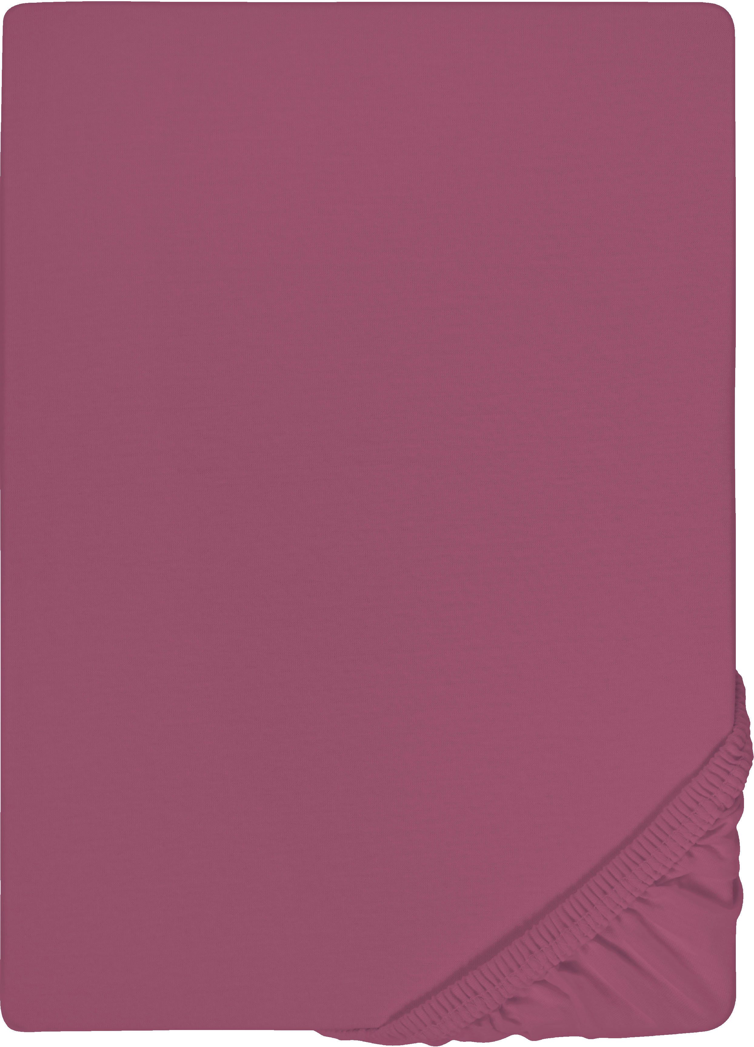 Biberna Spannbettlaken 0077866 Deluxe Jersey-Elastic Spannbetttuch 97% Baumwolle, Jersey-Elasthan, Gummizug: rundum, (1 Stück), Jersey mit Elasthan, Rundumgummi – Bild 3 von 5