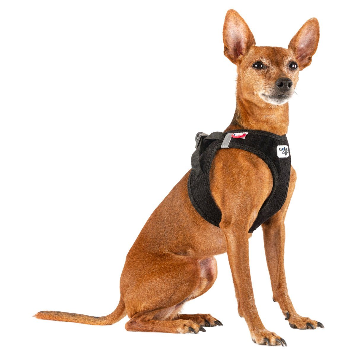 Curli Hunde-Geschirr Clasp Vest Geschirr Cord schwarz