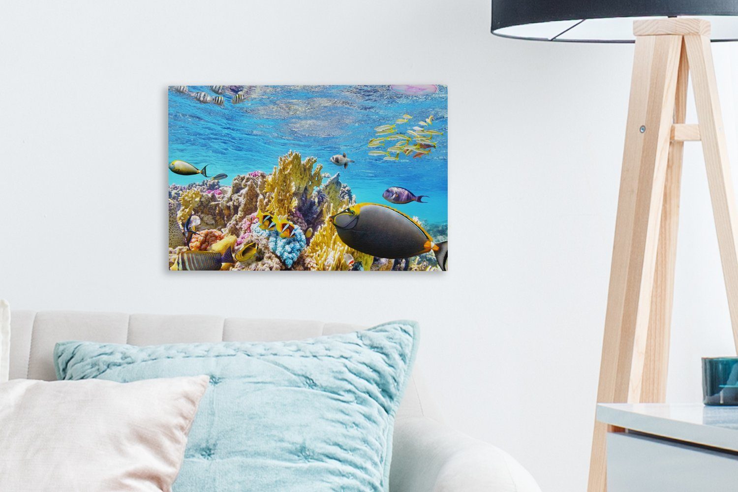 Aufhängefertig, Leinwandbilder, Wasser, Bunte Leinwandbild in cm OneMillionCanvasses® (1 Wandbild St), Korallen 30x20 Wanddeko, klarem