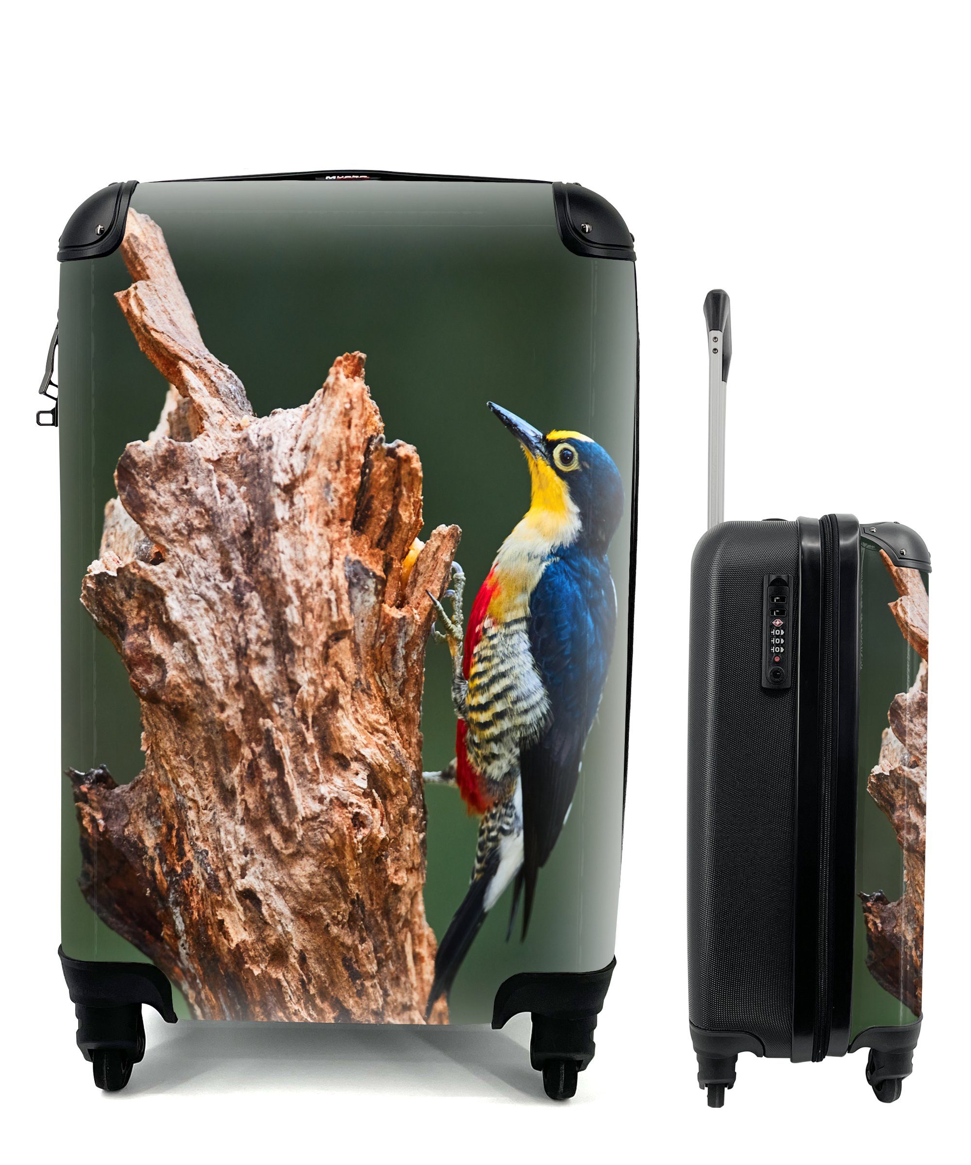 MuchoWow Handgepäckkoffer Nahaufnahme eines bunten Vogels auf der Seite eines Baumstamms, 4 Rollen, Reisetasche mit rollen, Handgepäck für Ferien, Trolley, Reisekoffer