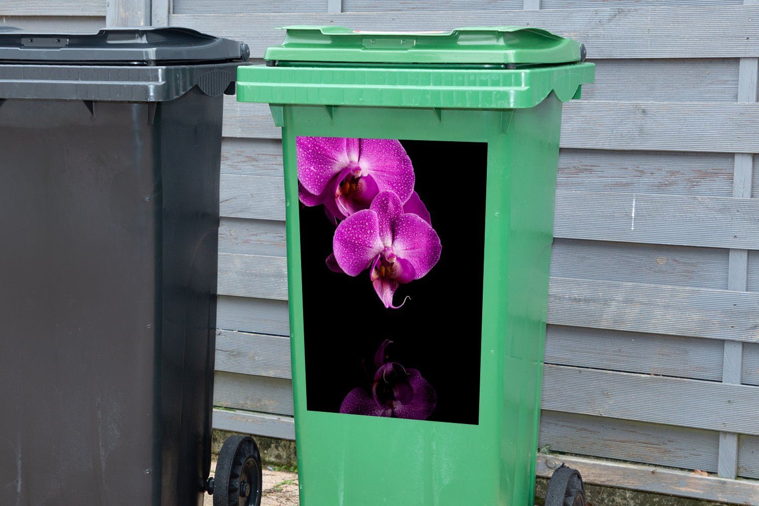 Container, Hintergrund Sticker, schwarzem Abfalbehälter (1 Mülltonne, Mülleimer-aufkleber, lila St), MuchoWow Orchideen vor Zwei Wandsticker