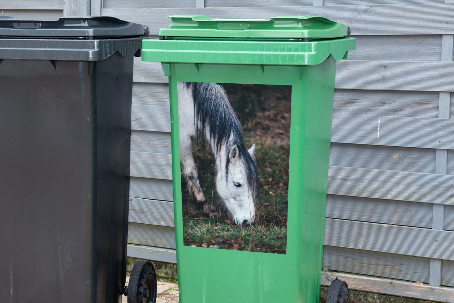 - Mülleimer-aufkleber, Sticker, St), Pferde MuchoWow Abfalbehälter Mülltonne, (1 - Container, Weiß Gras Wandsticker