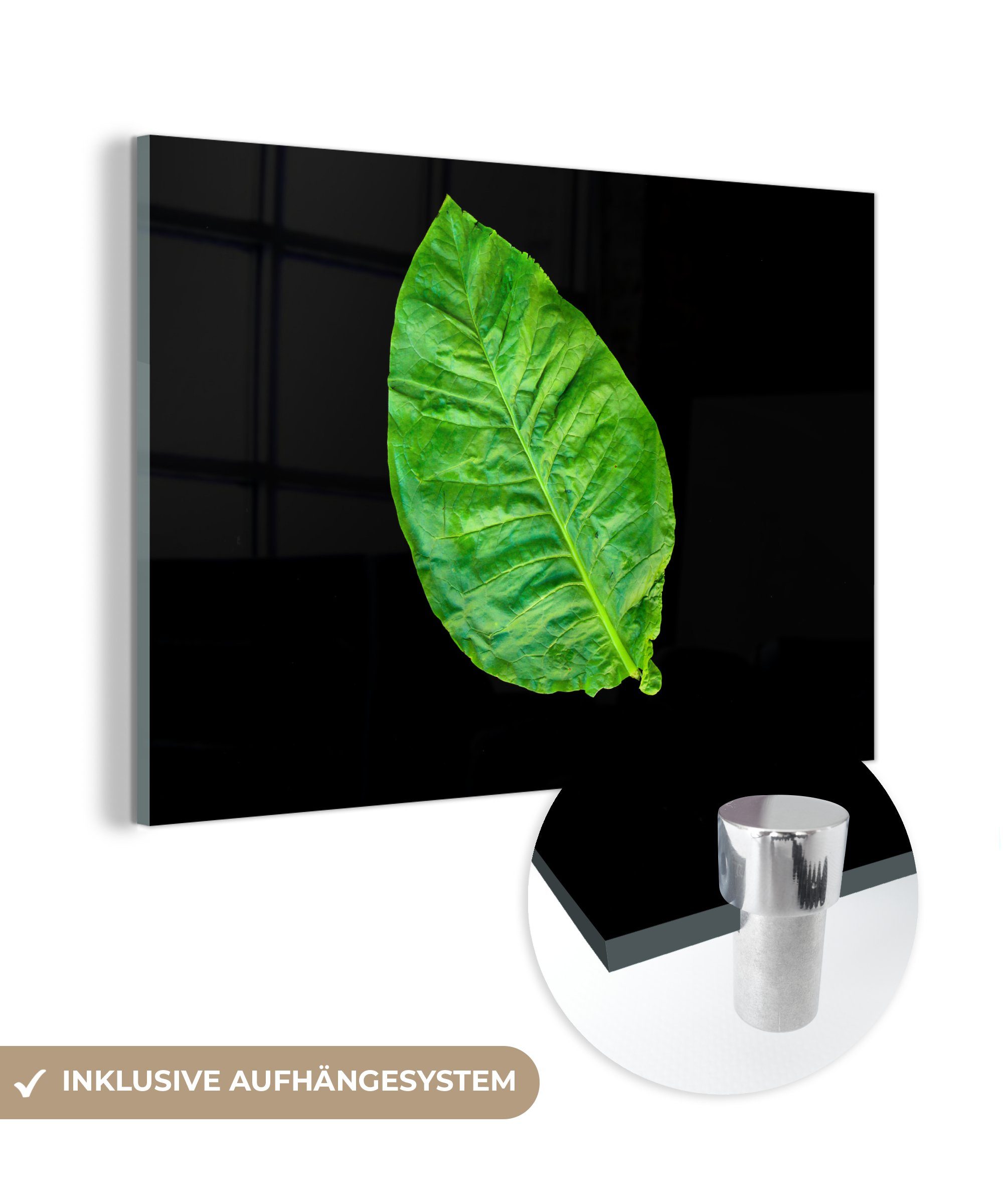 MuchoWow Acrylglasbild Grüne Blätter auf schwarzem Hintergrund, (1 St), Acrylglasbilder Wohnzimmer & Schlafzimmer | Bilder