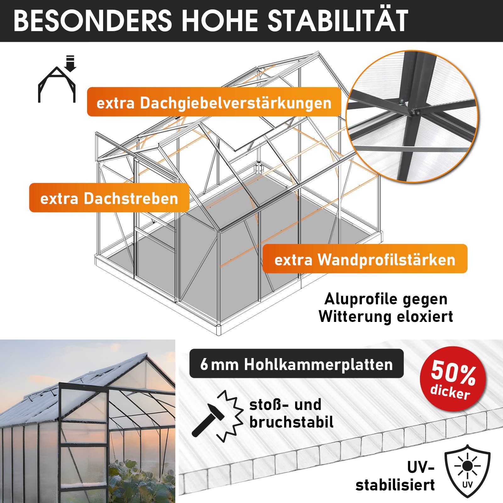 BRAST Gewächshaus ALU mit Fundament rostfrei 250x190x195cm TÜV geprüft, BxTxH: 190 x 250 x 195 cm, wetterfestes hochwertiges Aluminium, Temperaturbeständig, Wärmedämmend, Lichtbrechend & UV-stabilisiert