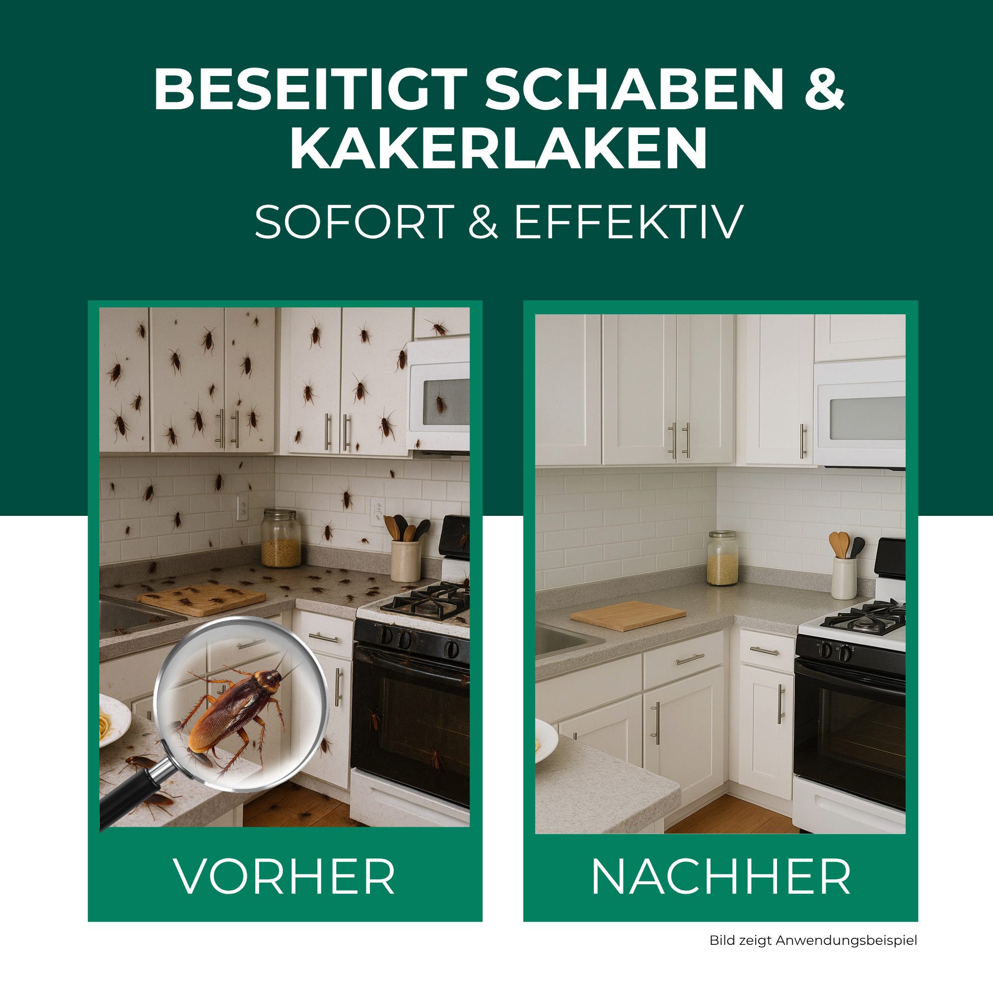 Silberkraft Insektenspray Schabenspray 500ml inkl. E-Book per QR-Code, Effektive Abwehr für ein schabenfreies Zuhause, 1-St., Schabenmittel & Kakerlakenspray ge – Bild 2 von 5