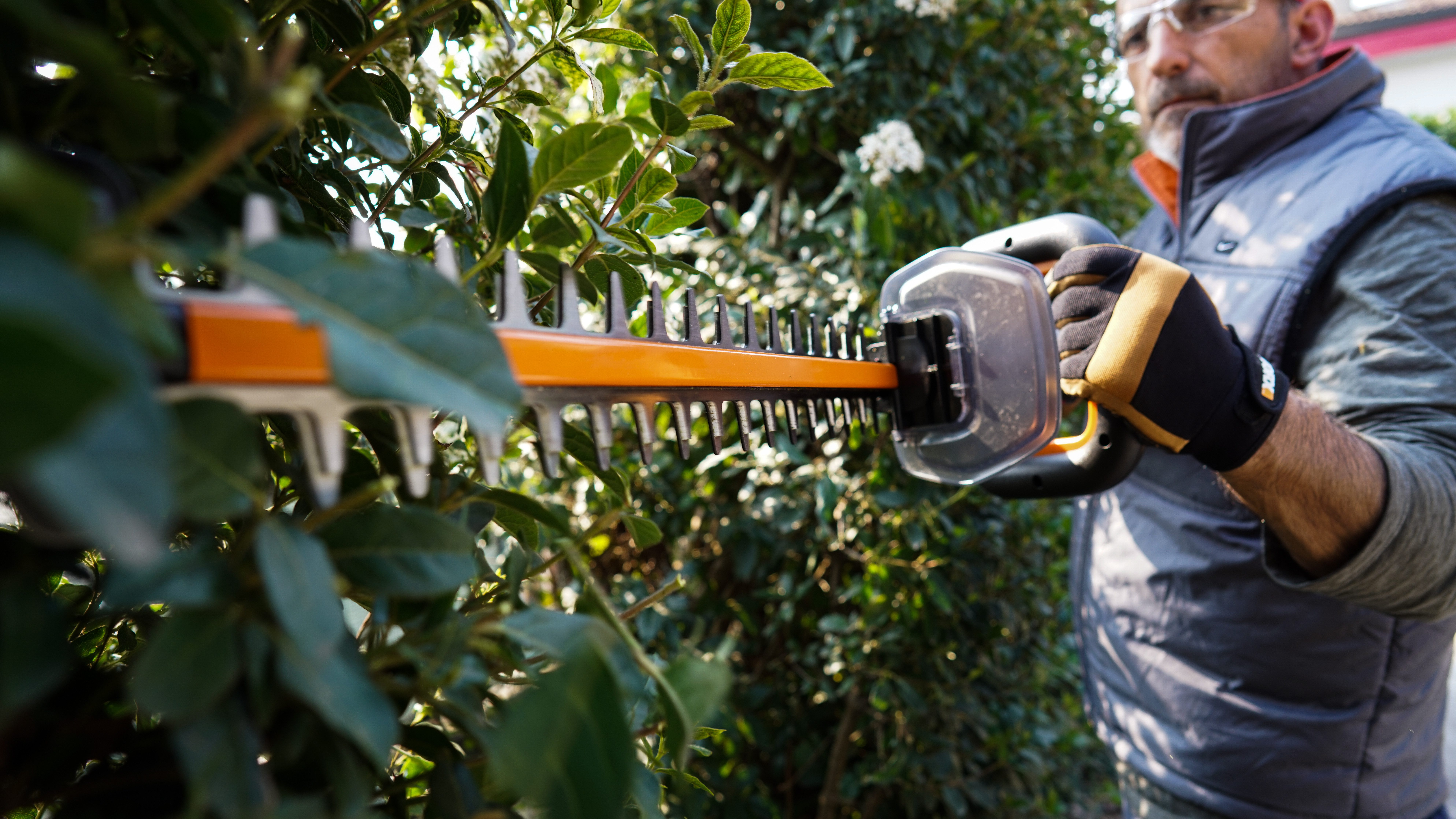 Worx Akku-Heckenschere WG263E.9 Nitro, 54 cm Schnittlänge, 27 mm Zahnabstand, ohne Akku und Ladegerät