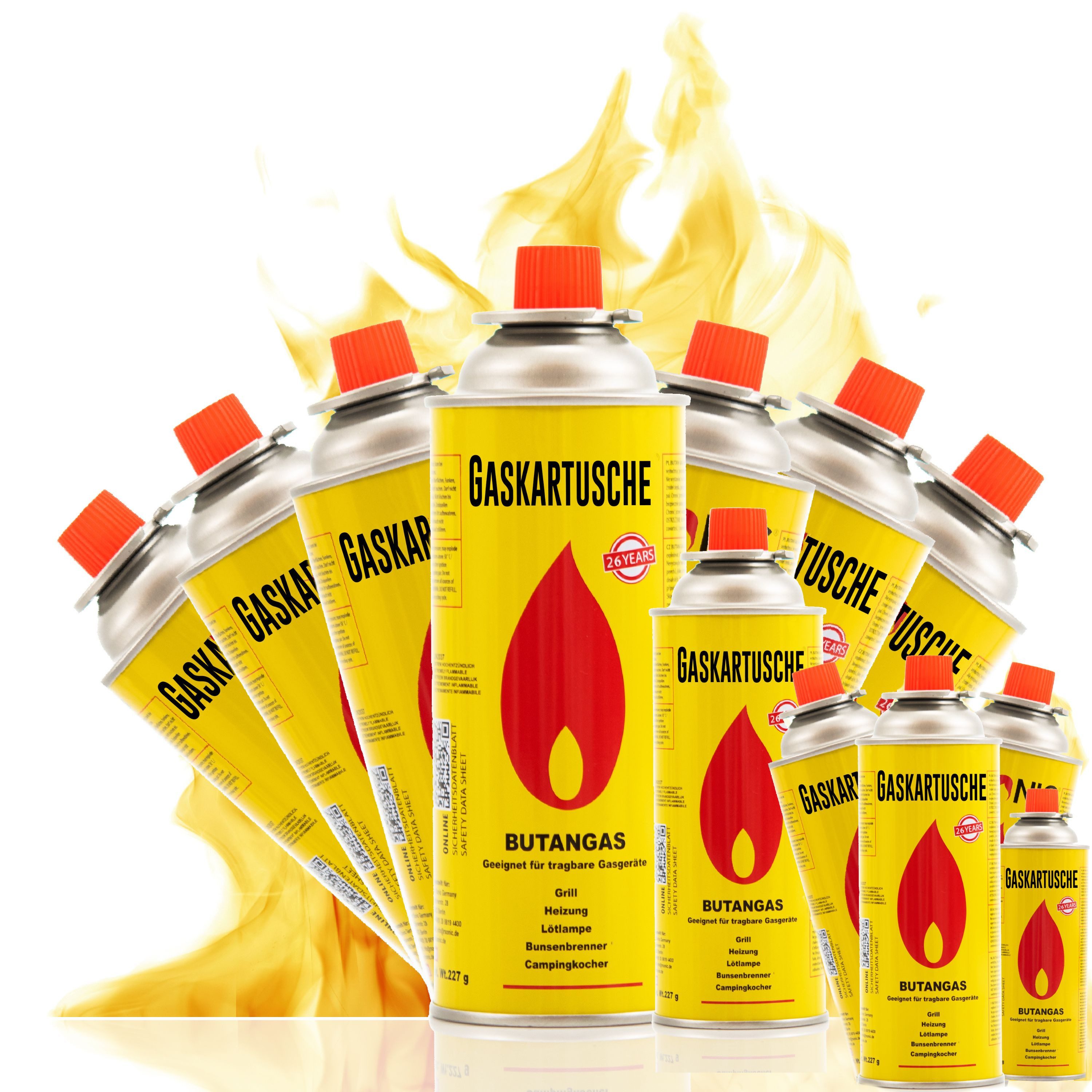 TruWare Gaskartusche Gaskartuschen 227g Butan Gas mit Ventil Universal Butangas, Zubehör für Campingkocher Gaskocher Gasgrill, 12 St., Brennstoffflaschen Kartusche