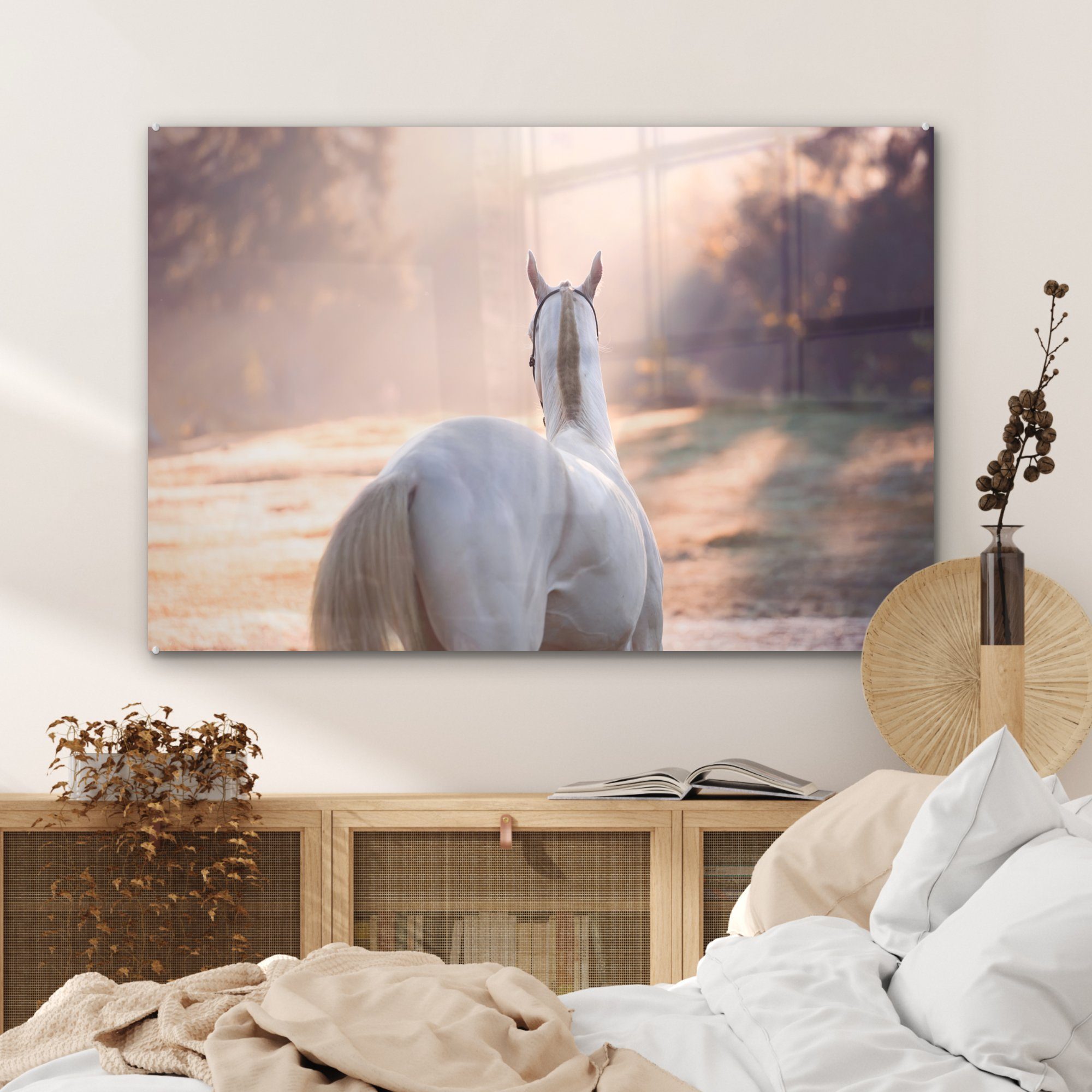 Schlafzimmer & - (1 St), MuchoWow Acrylglasbilder Pferde Baum, Acrylglasbild Licht - Wohnzimmer